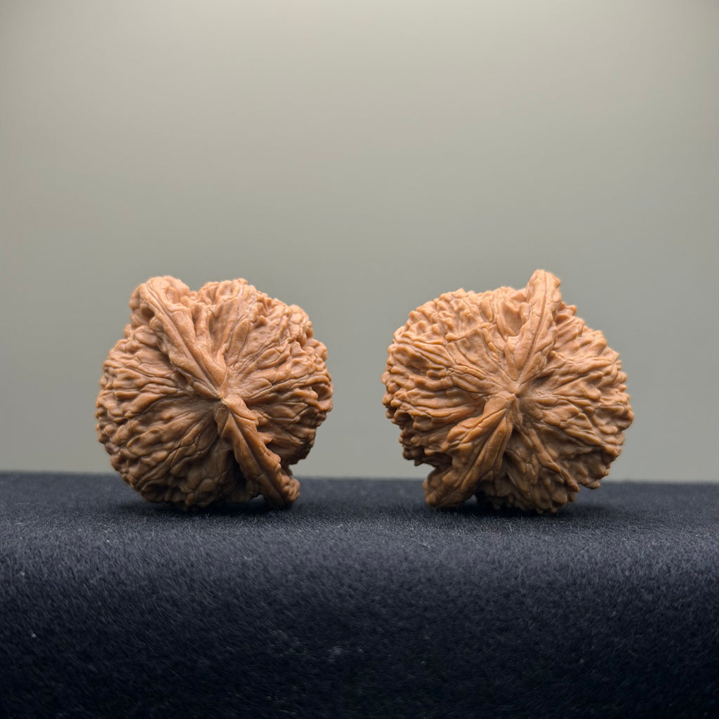 White Lion Wenwan Walnut · 38mm · Natural · Entry Ritual