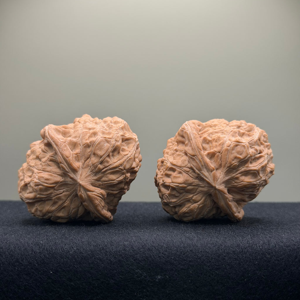 Giant Pumpkin Wenwan Walnut · 48mm · Natural · Select Ritual