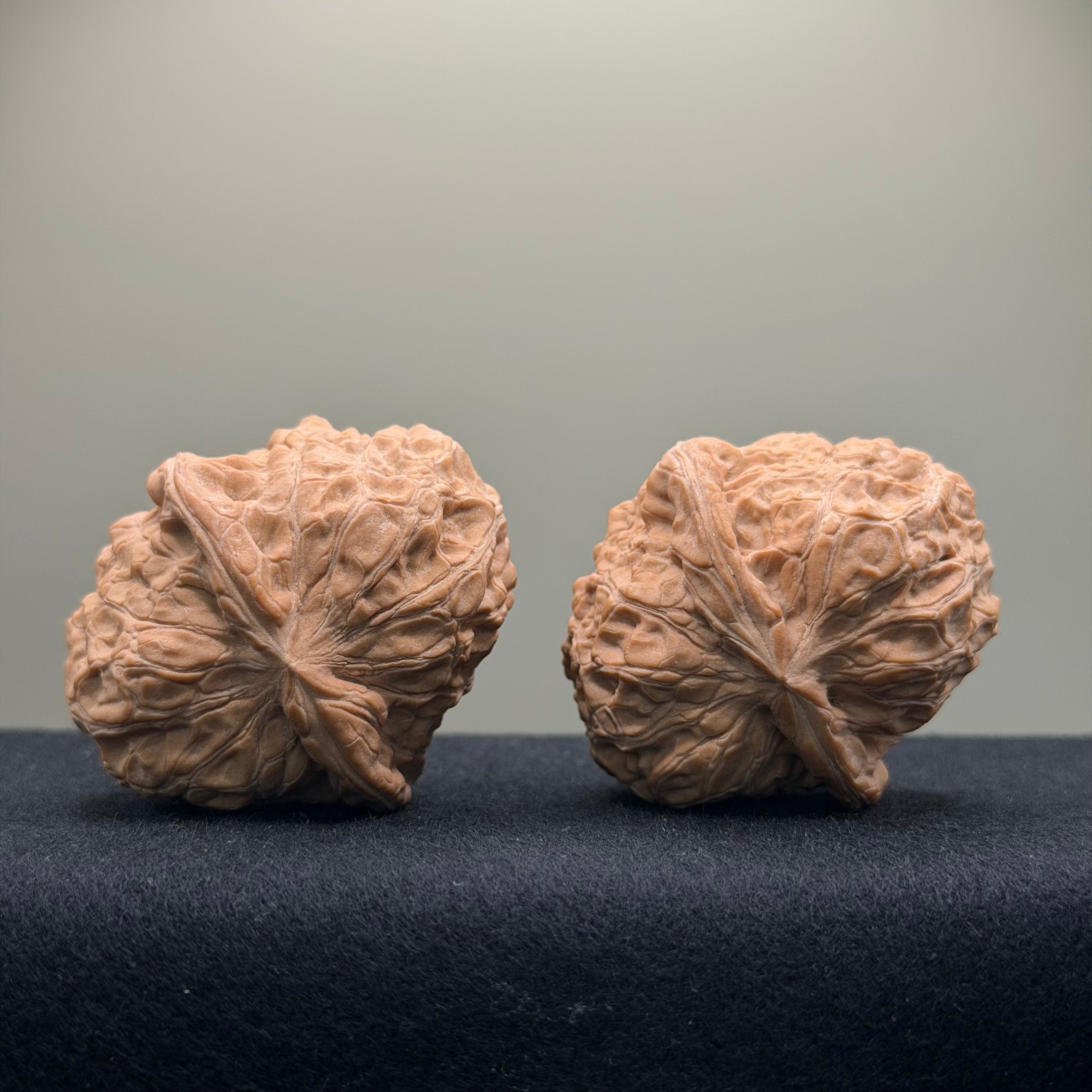 Giant Pumpkin Wenwan Walnut · 48mm · Natural · Select Ritual
