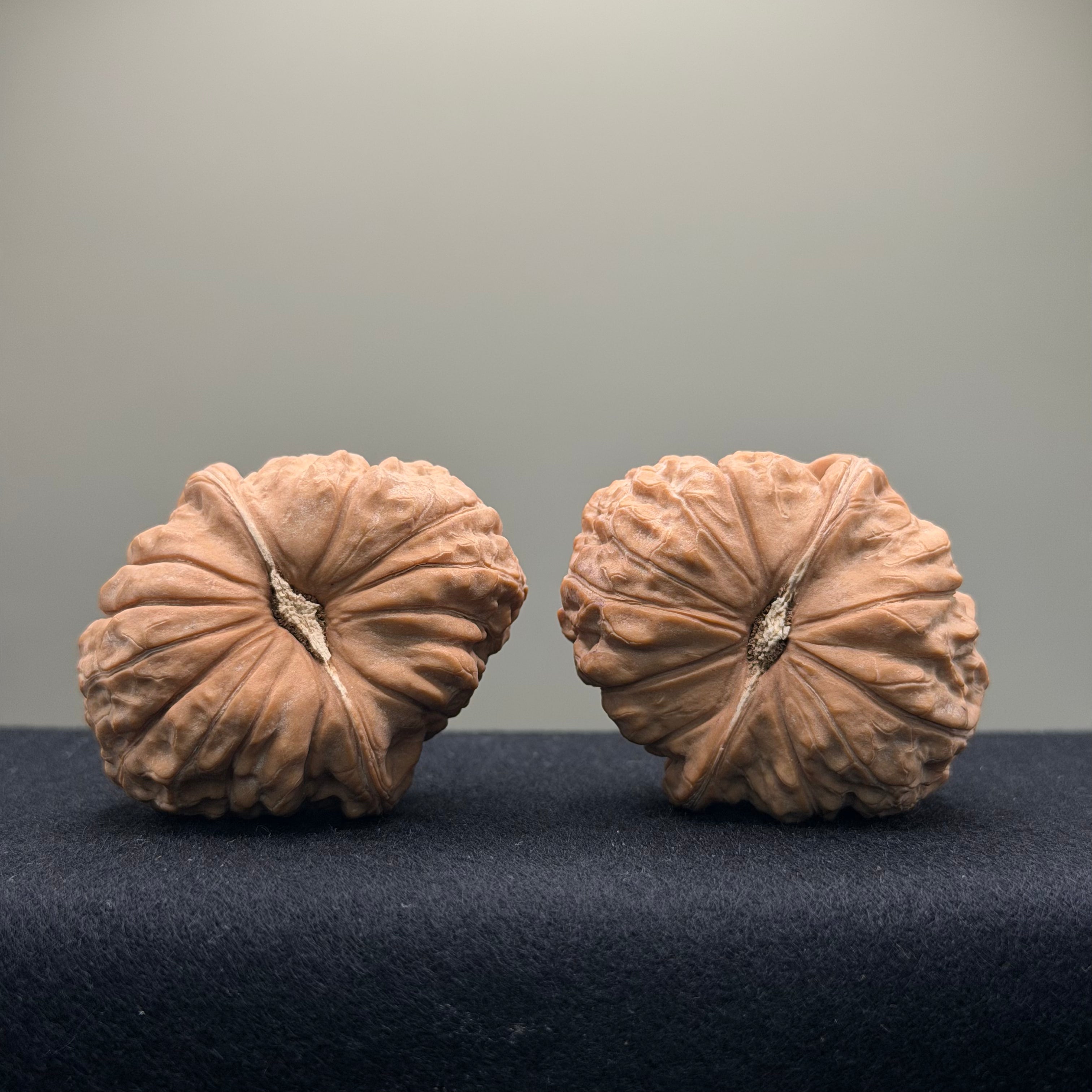 Giant Pumpkin Wenwan Walnut · 48mm · Natural · Select Ritual