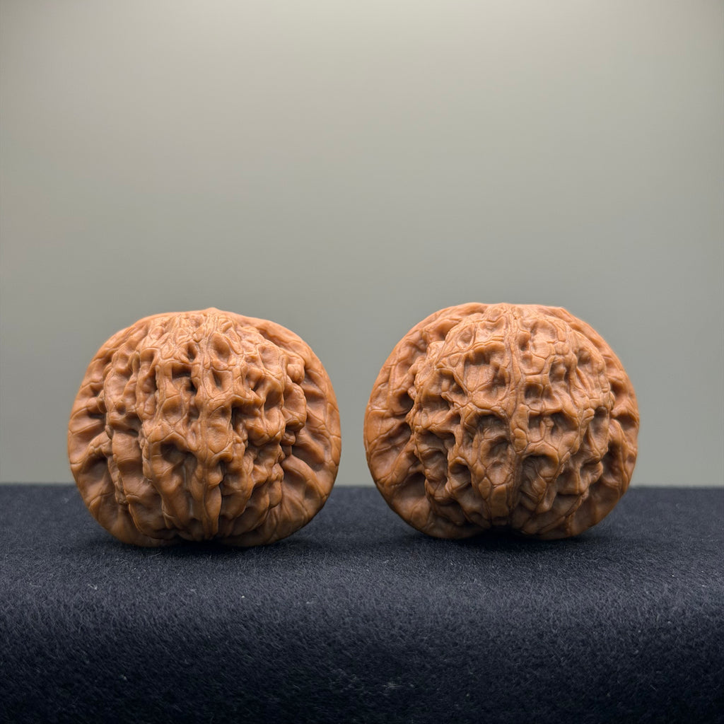 Prince Jin Wenwan Walnut · 42mm · Select Ritual