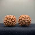 Prince Jin Wenwan Walnut · 42mm · Select Ritual