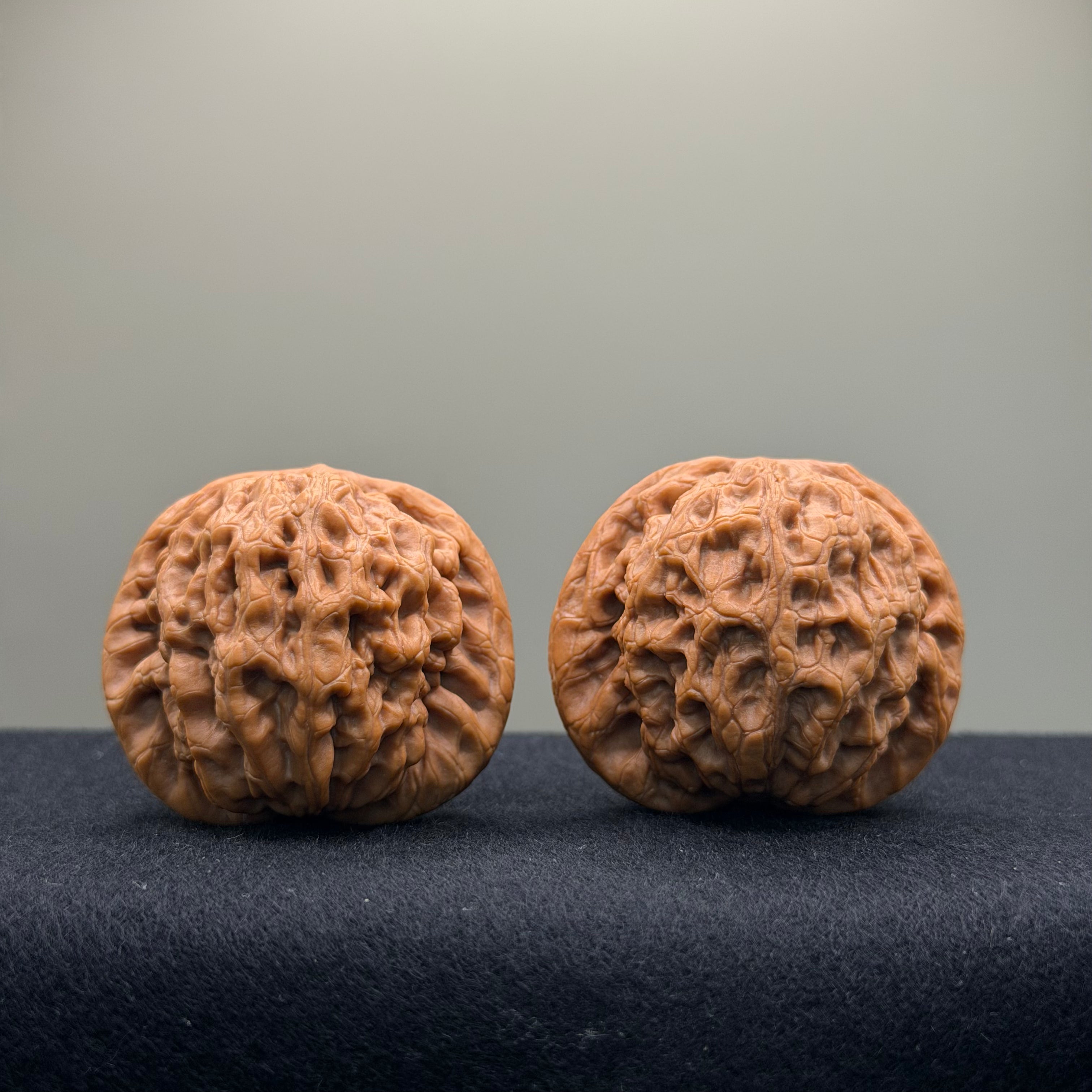 Prince Jin Wenwan Walnut · 42mm · Select Ritual