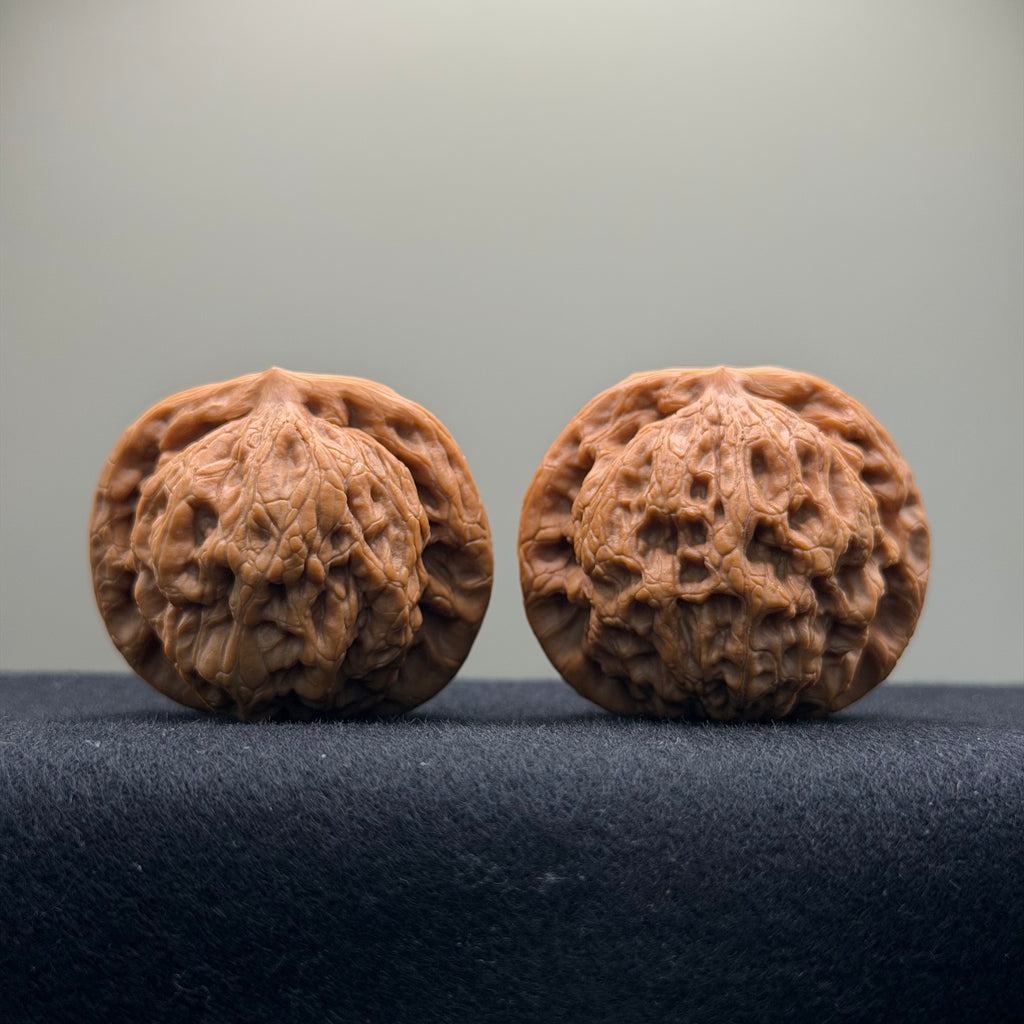 Prince Jin Wenwan Walnut · 42mm · Select Ritual