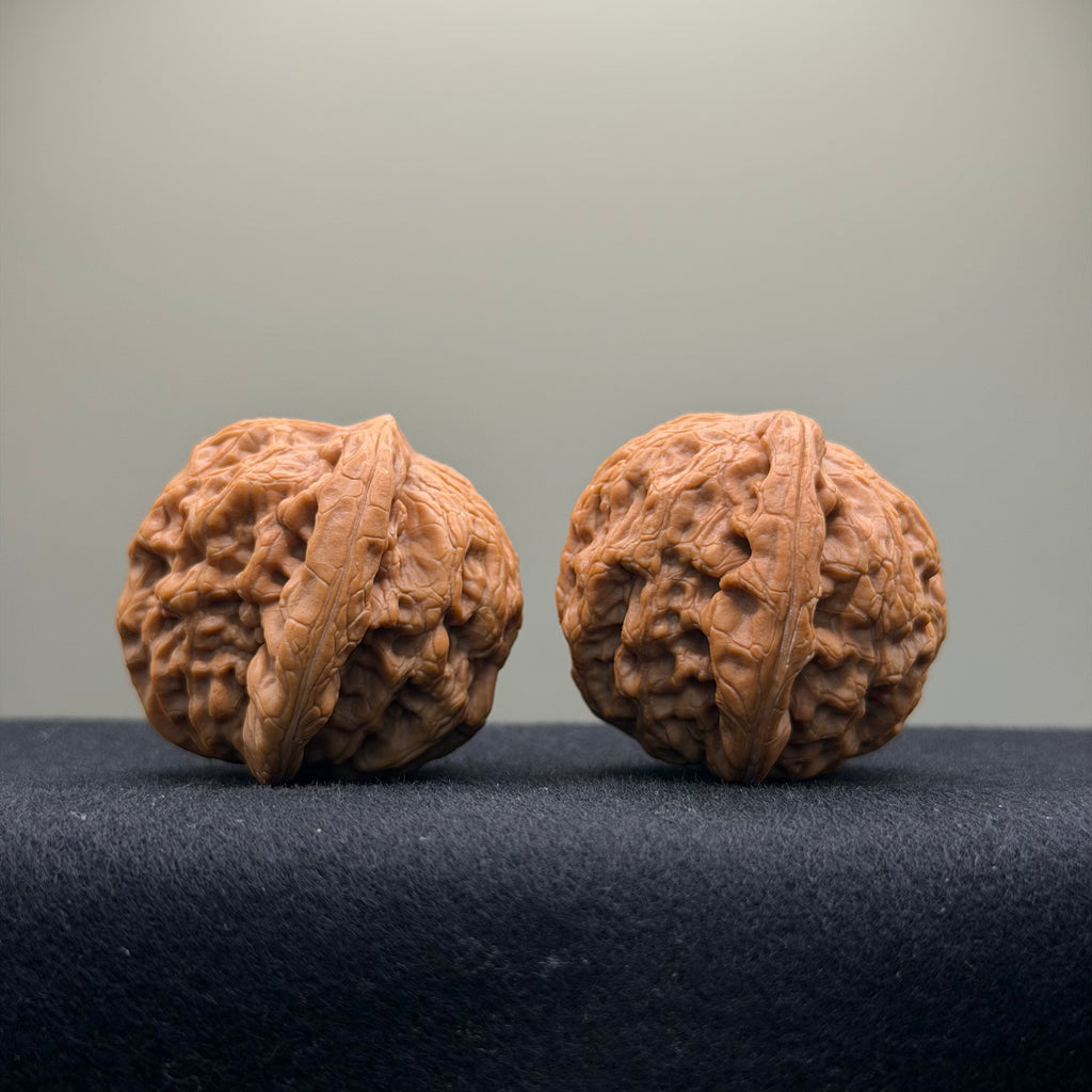 Prince Jin Wenwan Walnut · 42mm · Select Ritual