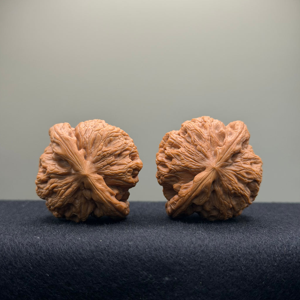 Prince Jin Wenwan Walnut · 42mm · Select Ritual
