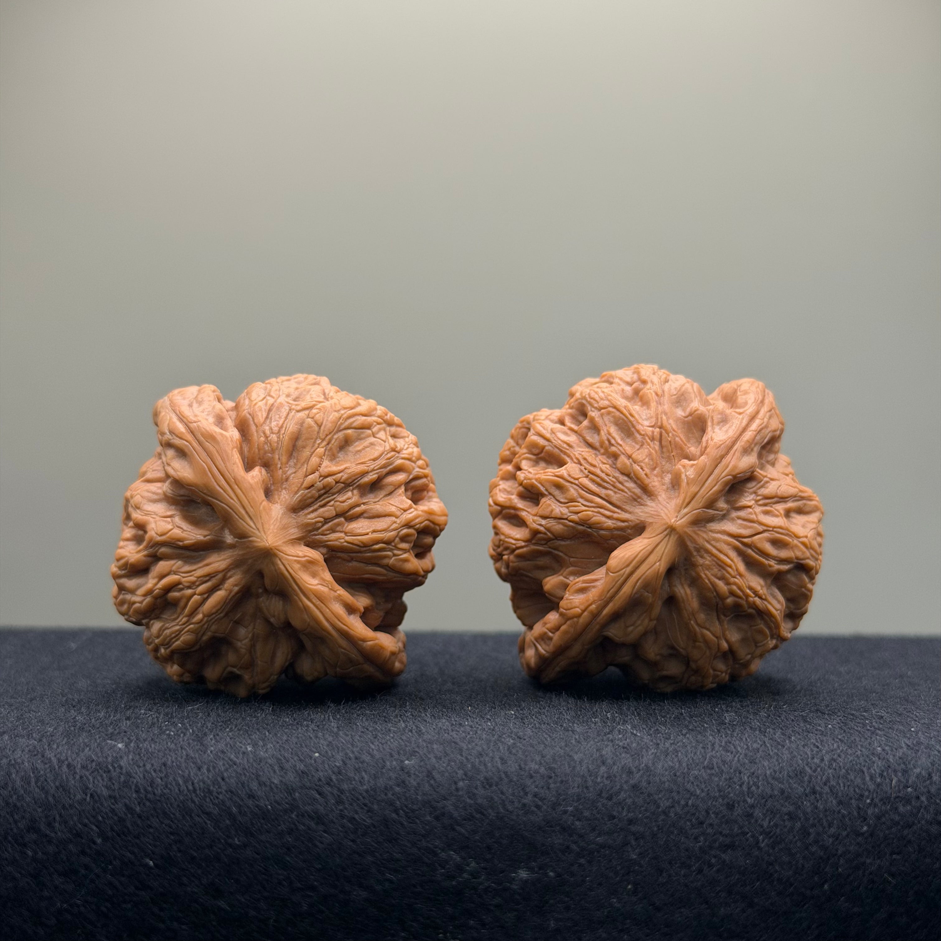 Prince Jin Wenwan Walnut · 42mm · Select Ritual