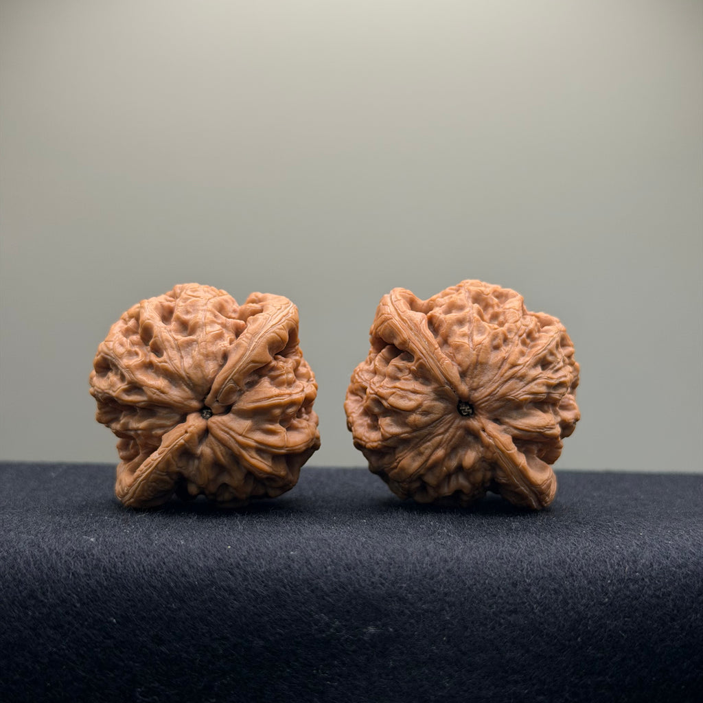 Prince Jin Wenwan Walnut · 42mm · Select Ritual