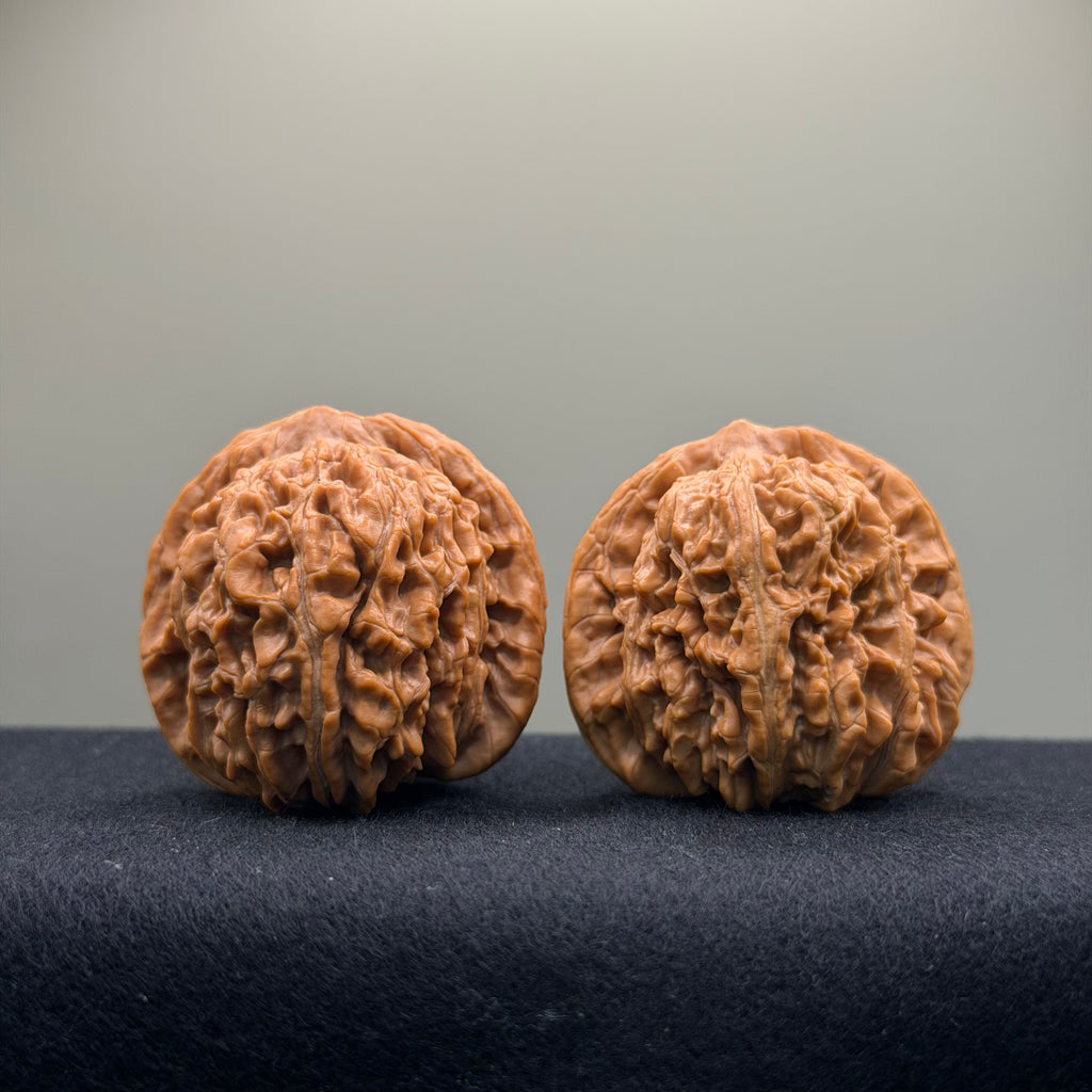 Four Towers Wenwan Walnut · 43mm · Natural · Premium Ritual