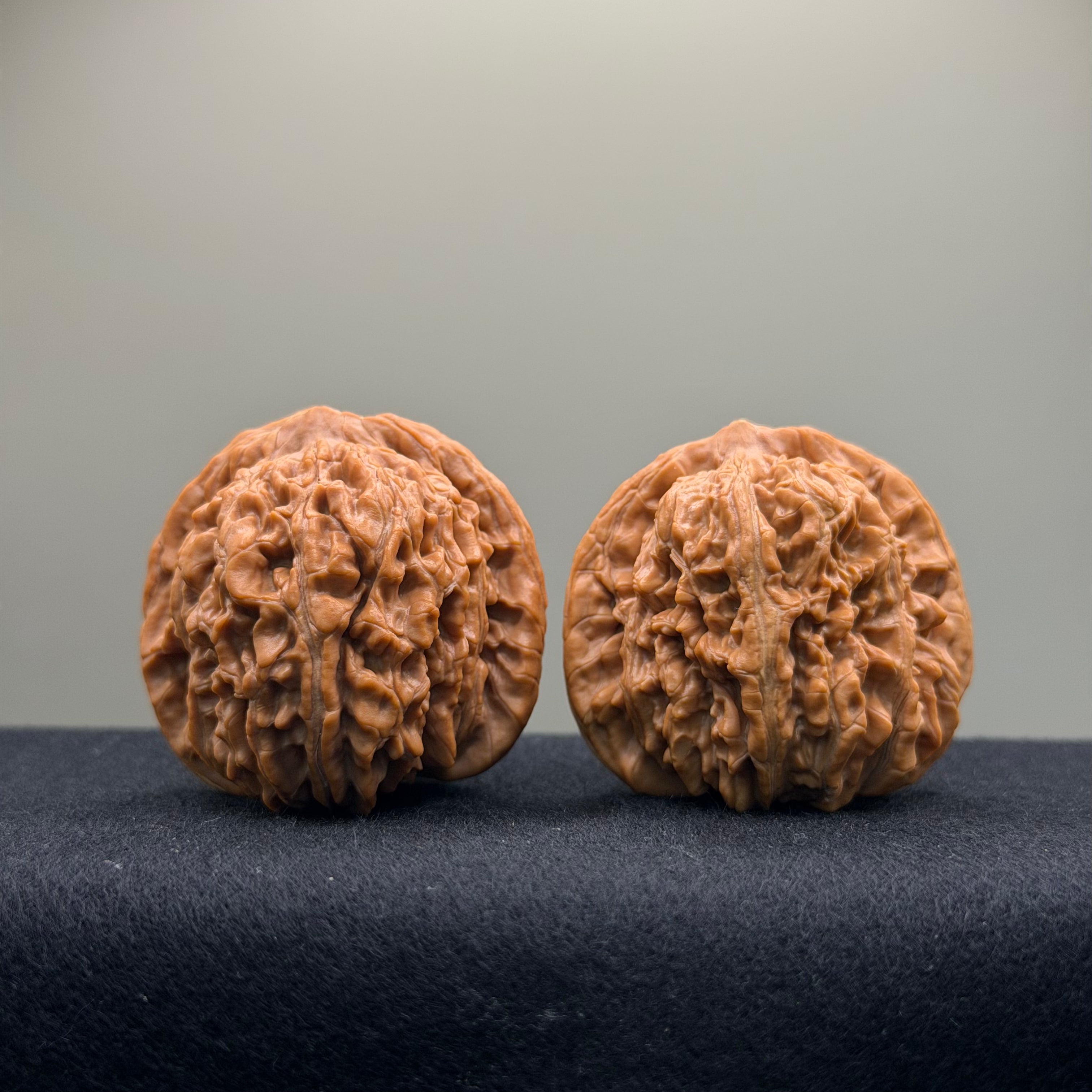 Four Towers Wenwan Walnut · 43mm · Natural · Premium Ritual
