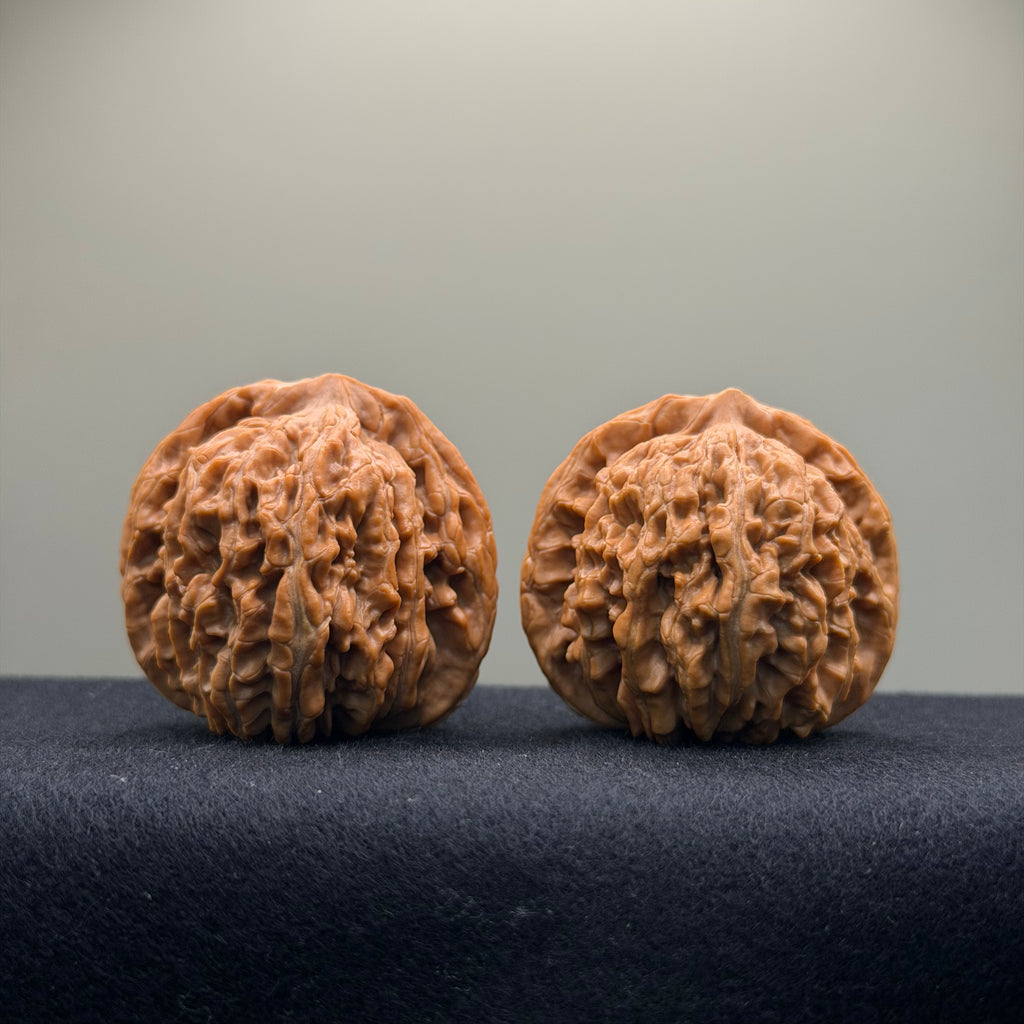 Four Towers Wenwan Walnut · 43mm · Natural · Premium Ritual