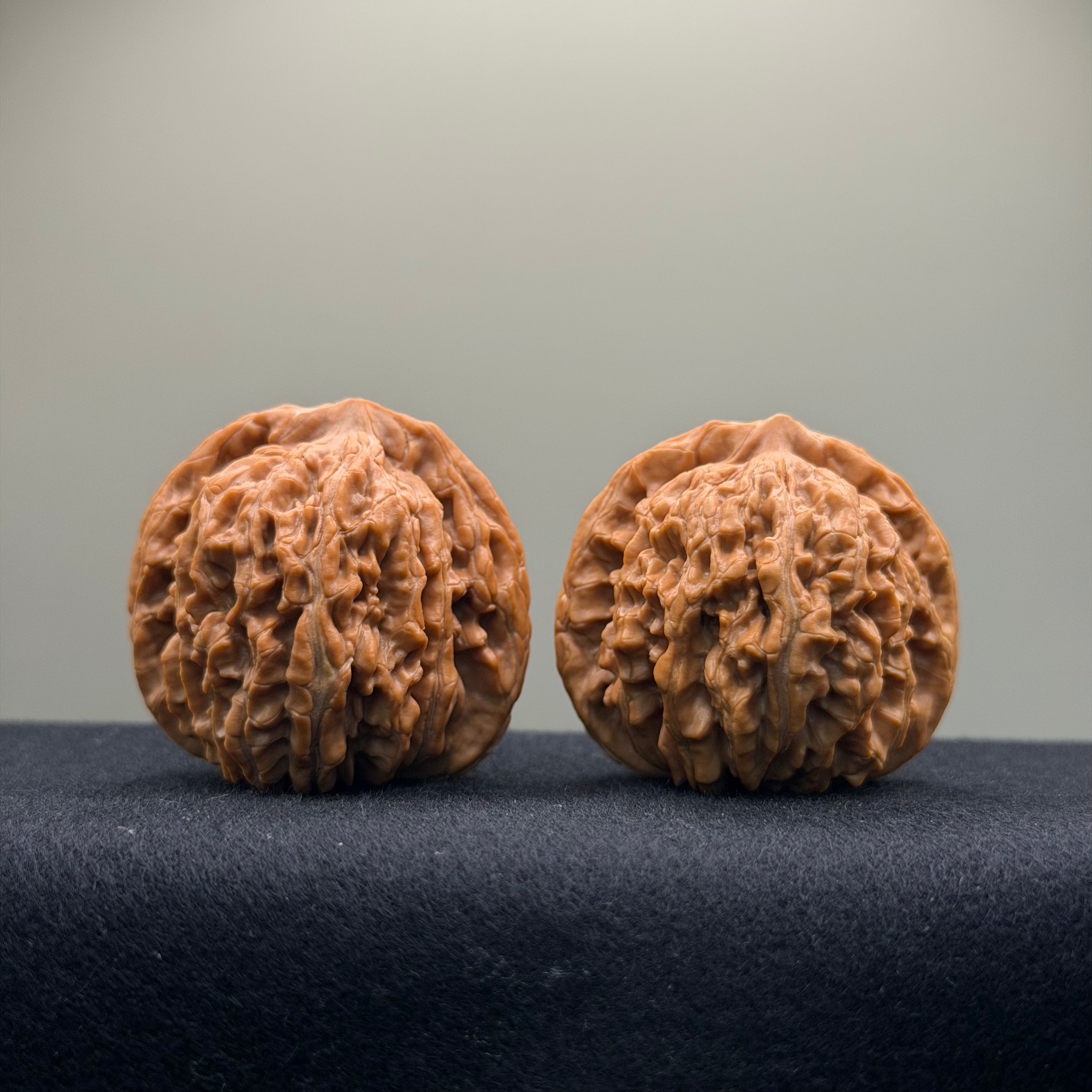 Four Towers Wenwan Walnut · 43mm · Natural · Premium Ritual
