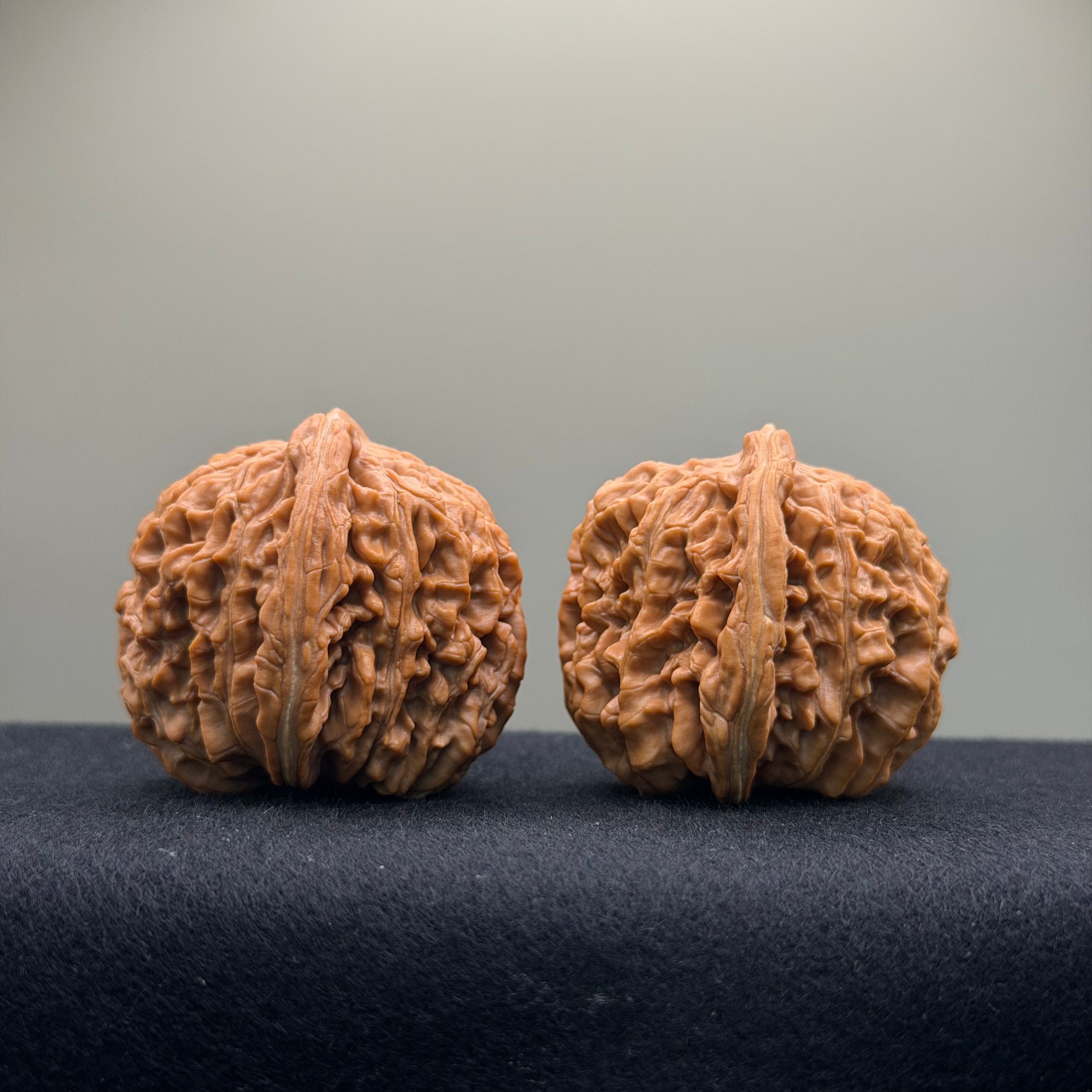 Four Towers Wenwan Walnut · 43mm · Natural · Premium Ritual