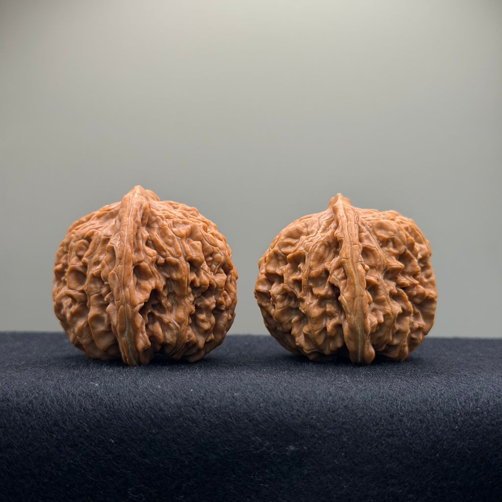 Four Towers Wenwan Walnut · 43mm · Natural · Premium Ritual