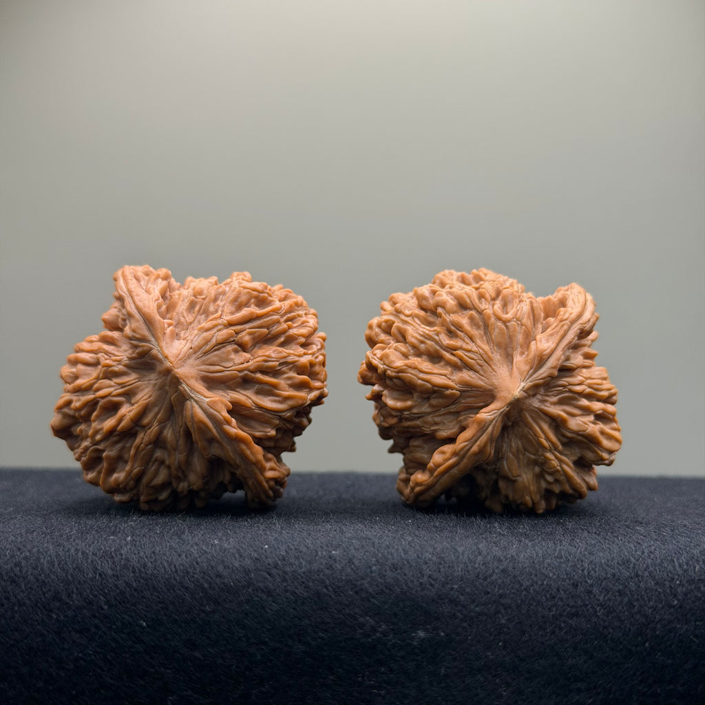 Four Towers Wenwan Walnut · 43mm · Natural · Premium Ritual