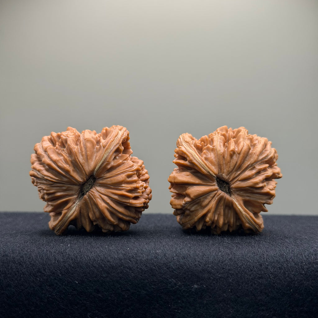 Four Towers Wenwan Walnut · 43mm · Natural · Premium Ritual