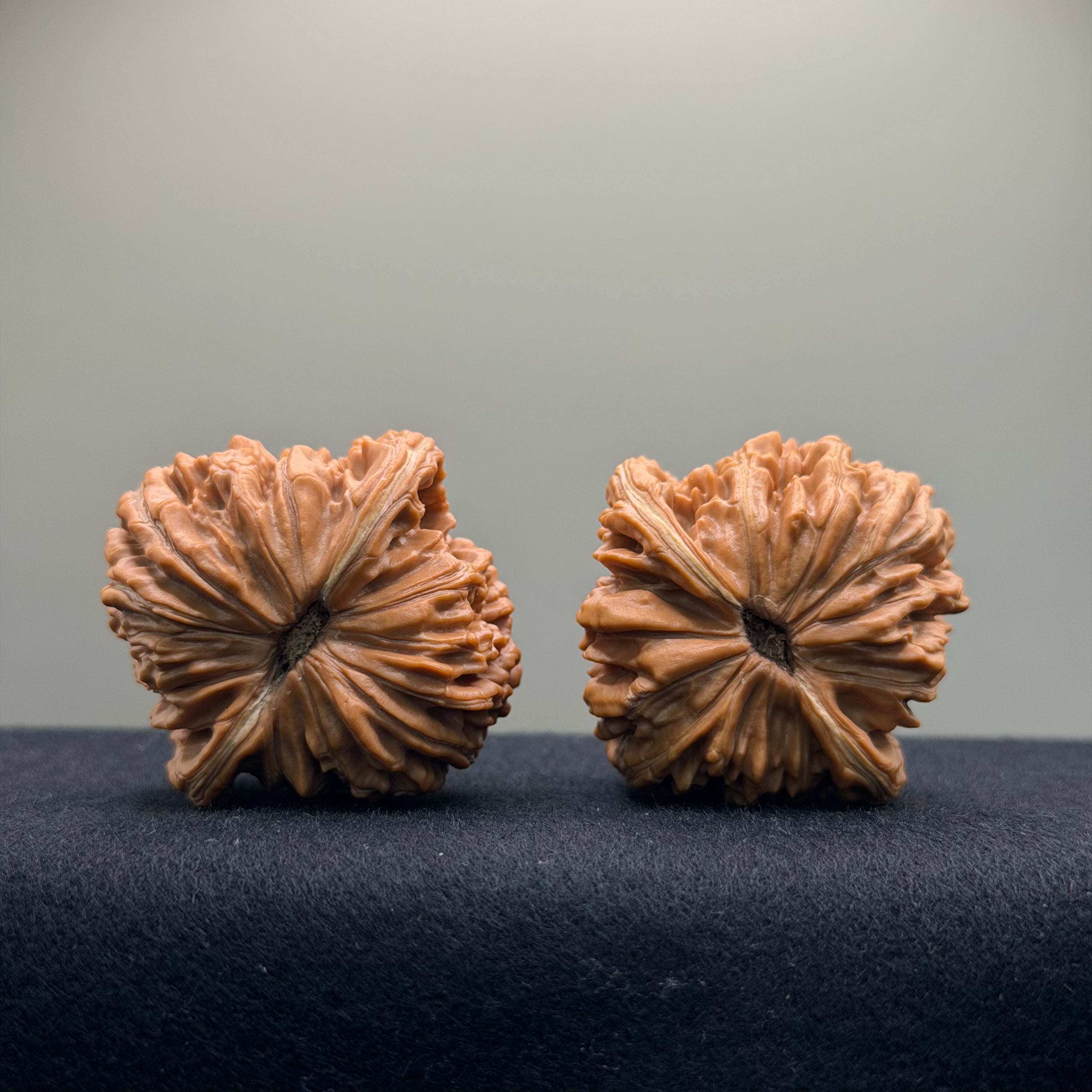 Four Towers Wenwan Walnut · 43mm · Natural · Premium Ritual