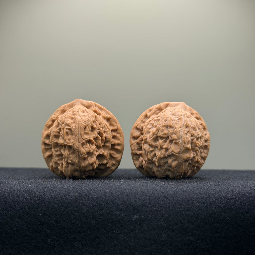 Loach Back Wenwan Walnut ·36mm · Natural · Entry Ritual