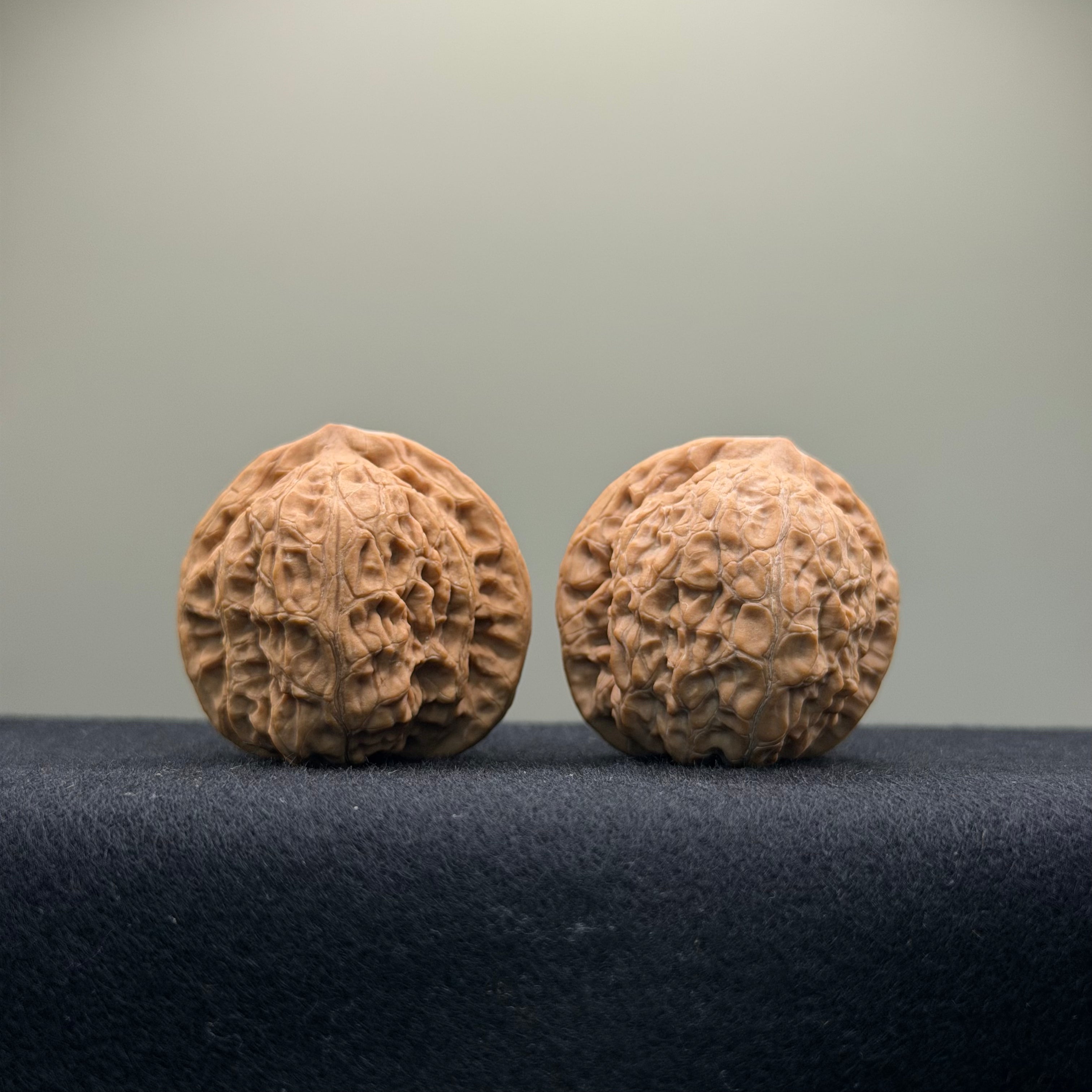 Loach Back Wenwan Walnut ·36mm · Natural · Entry Ritual