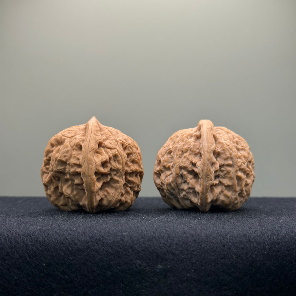 Loach Back Wenwan Walnut ·36mm · Natural · Entry Ritual