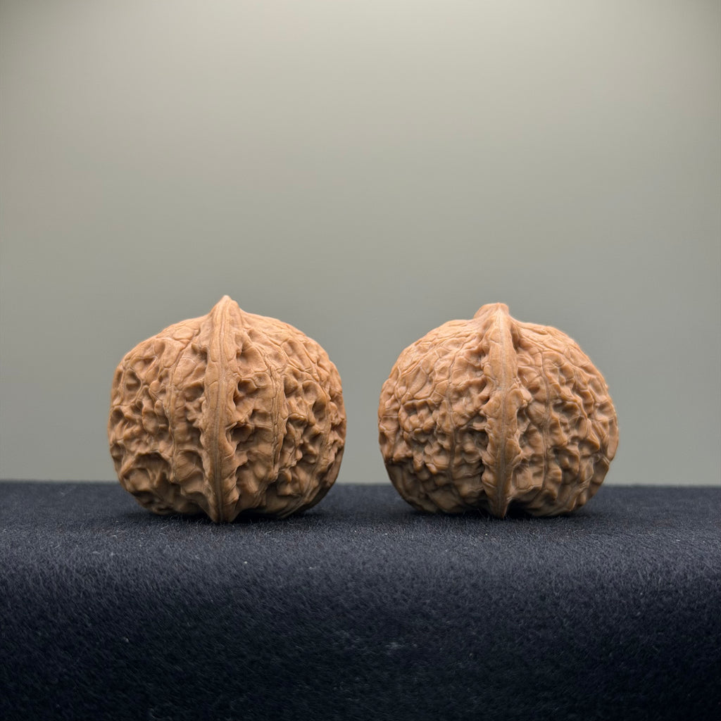 Loach Back Wenwan Walnut ·36mm · Natural · Entry Ritual