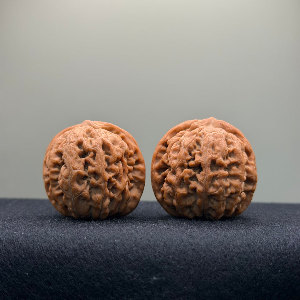 Phoenix Terrace Wenwan Walnut · 36mm · Natural · Select Ritual