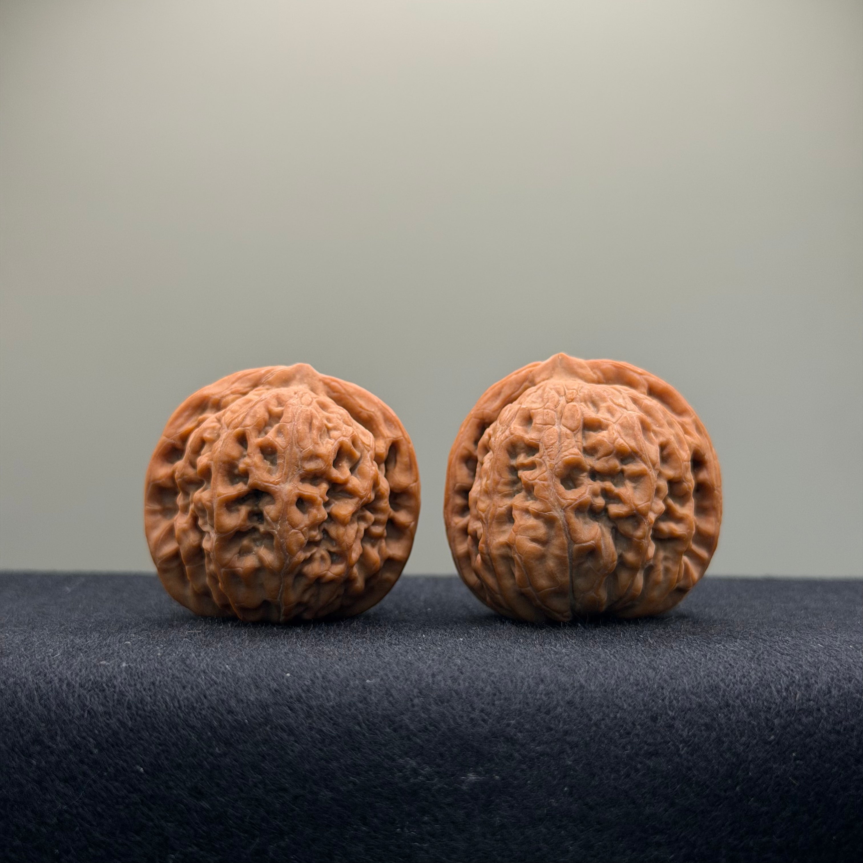 Phoenix Terrace Wenwan Walnut · 36mm · Natural · Select Ritual