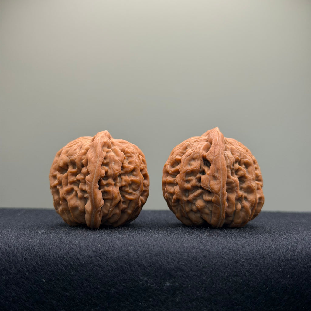 Phoenix Terrace Wenwan Walnut · 36mm · Natural · Select Ritual