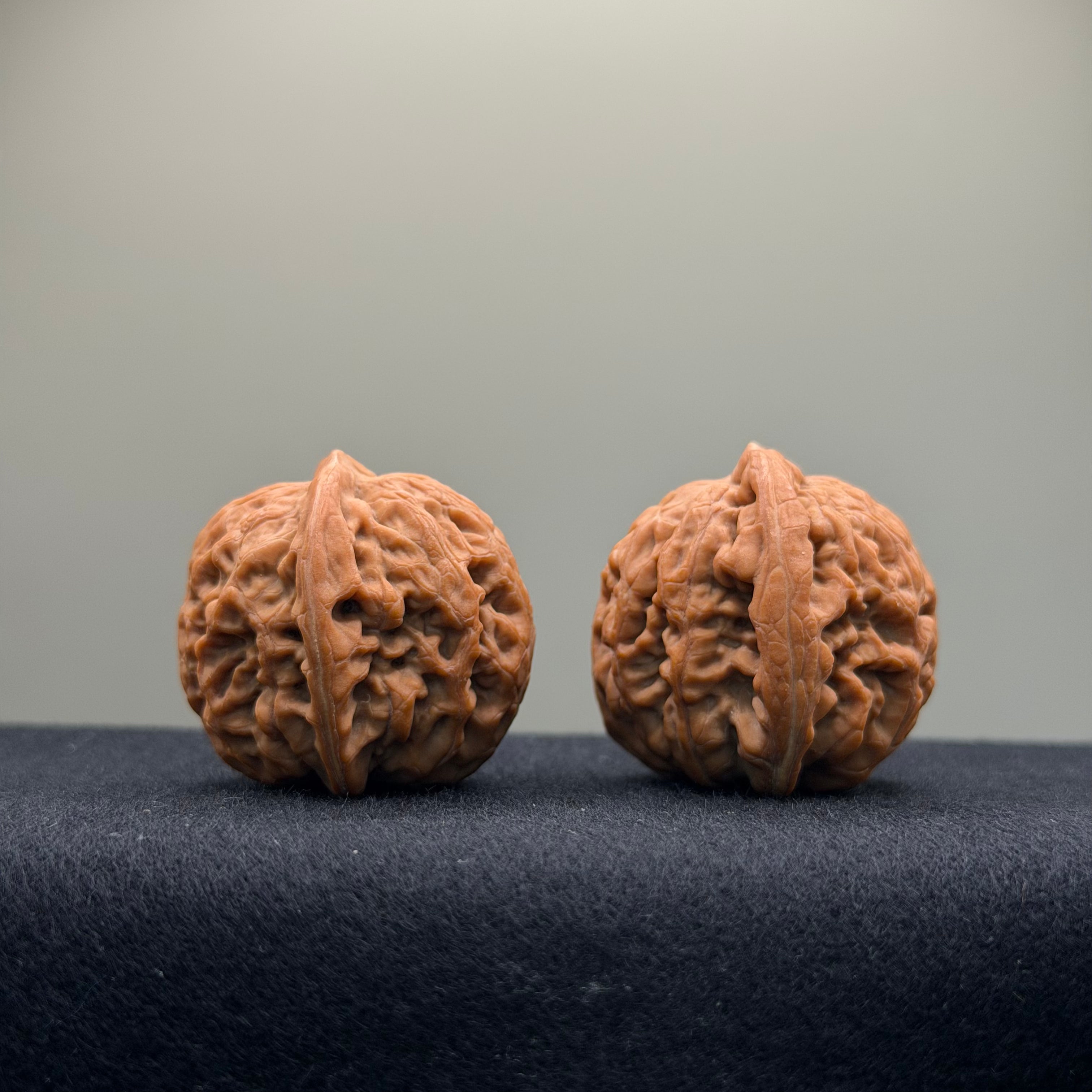 Phoenix Terrace Wenwan Walnut · 36mm · Natural · Select Ritual