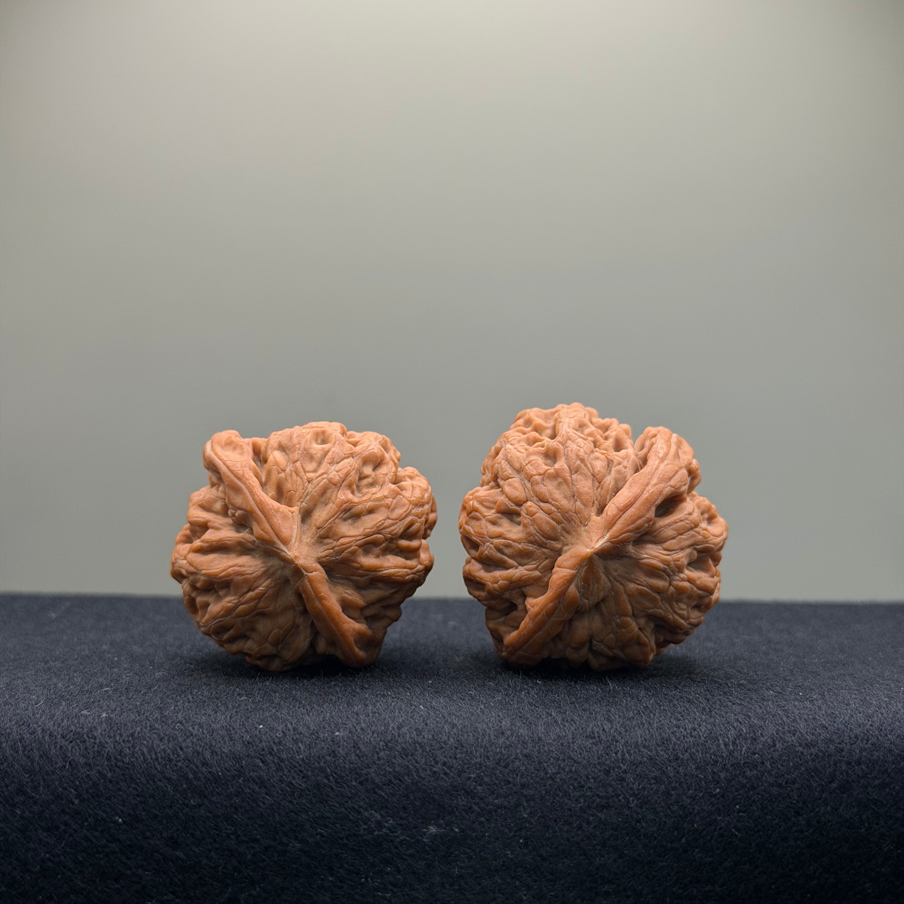 Phoenix Terrace Wenwan Walnut · 36mm · Natural · Select Ritual