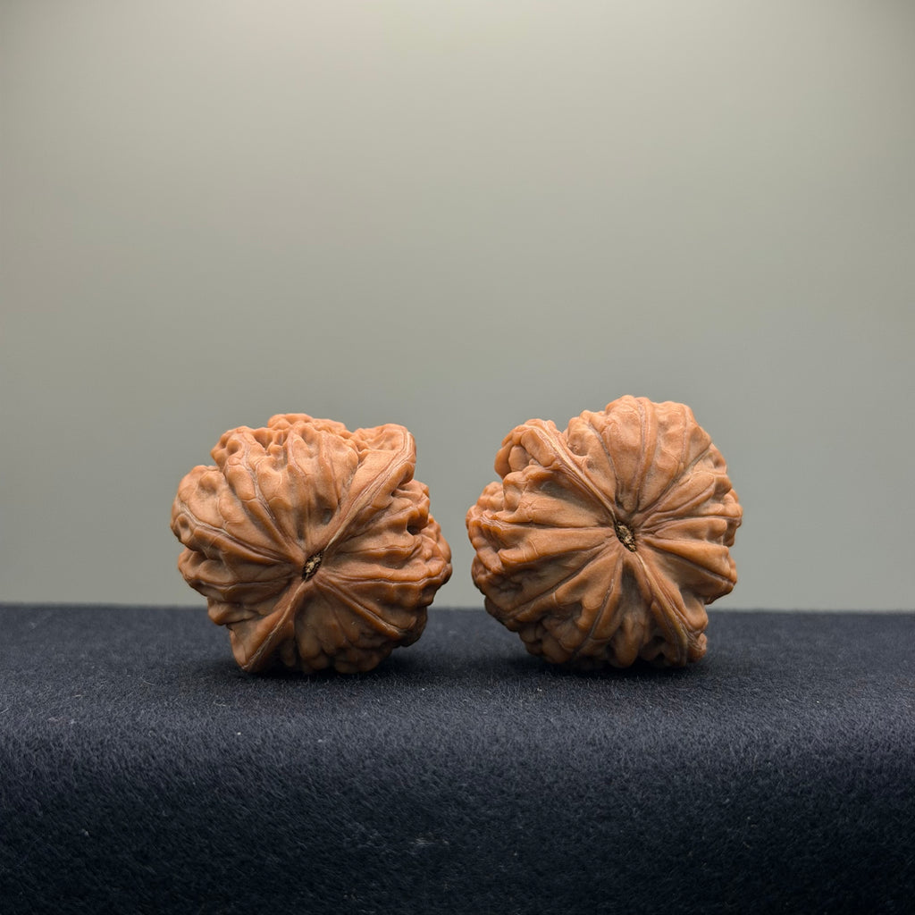 Phoenix Terrace Wenwan Walnut · 36mm · Natural · Select Ritual