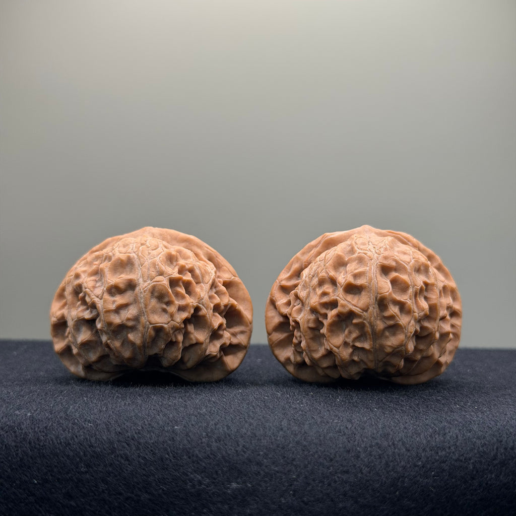 Aged Tree Palace Lantern Wenwan Walnut · 42mm · Natural · Select Ritual