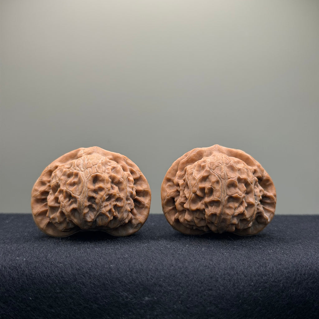 Aged Tree Palace Lantern Wenwan Walnut · 42mm · Natural · Select Ritual