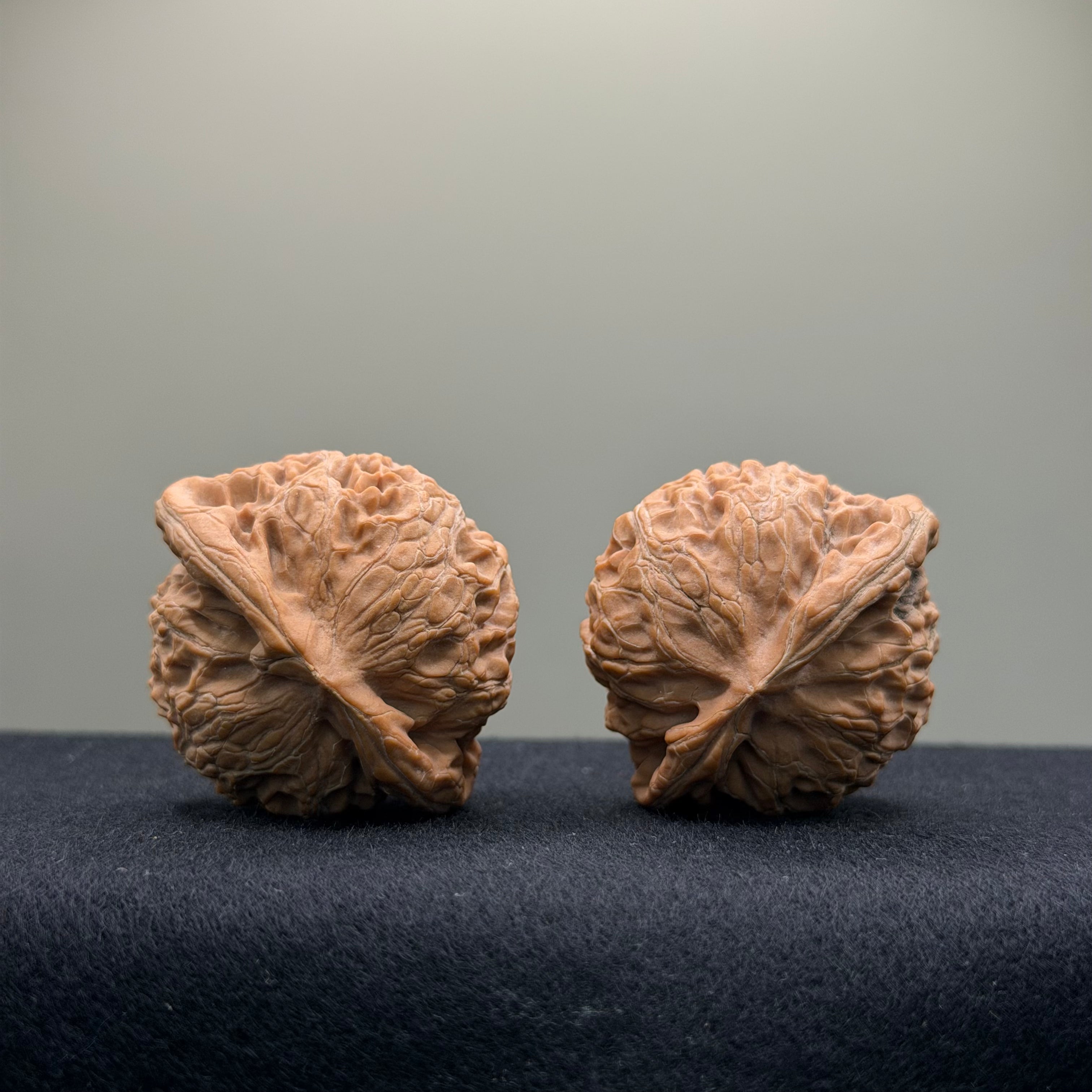 Aged Tree Palace Lantern Wenwan Walnut · 42mm · Natural · Select Ritual
