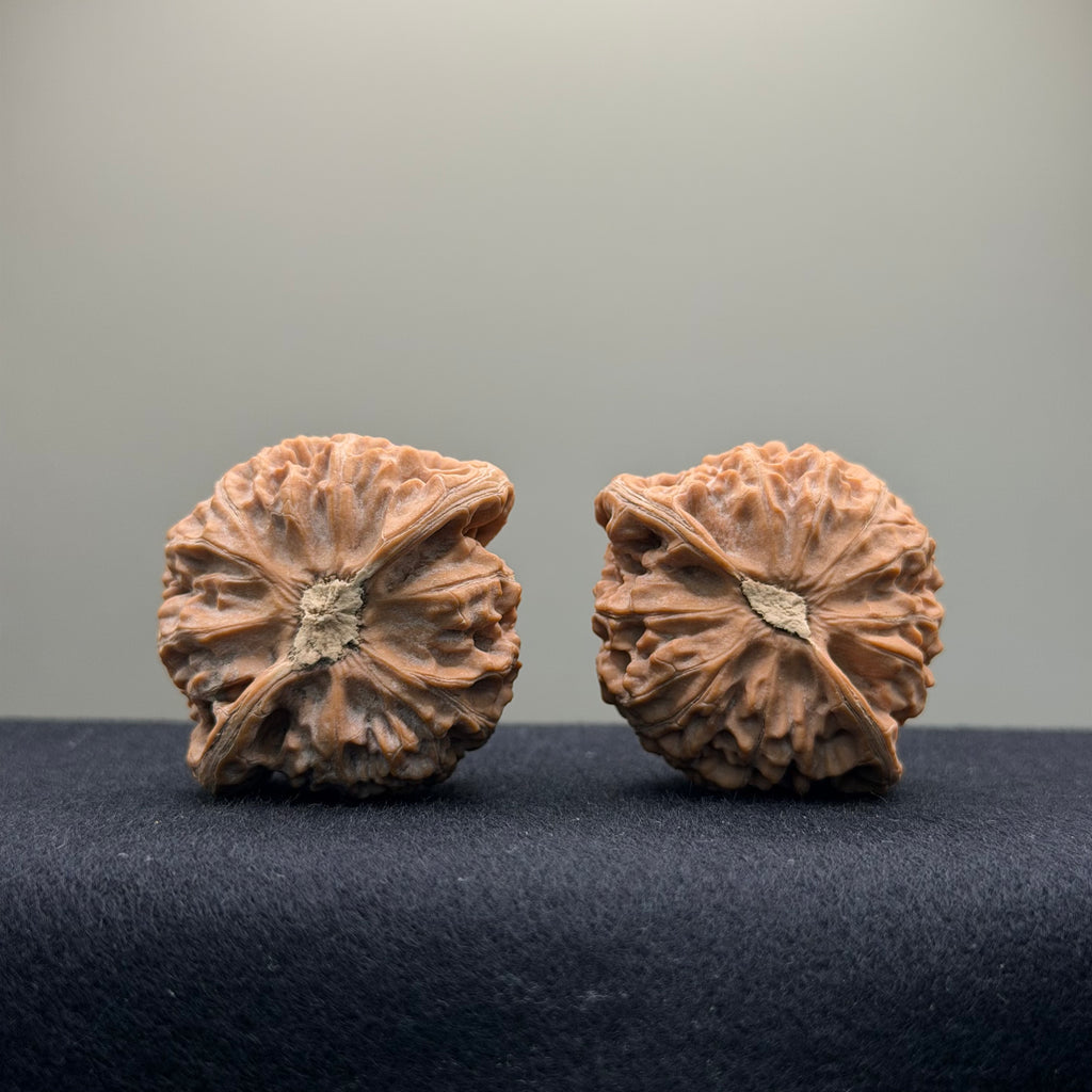 Aged Tree Palace Lantern Wenwan Walnut · 42mm · Natural · Select Ritual