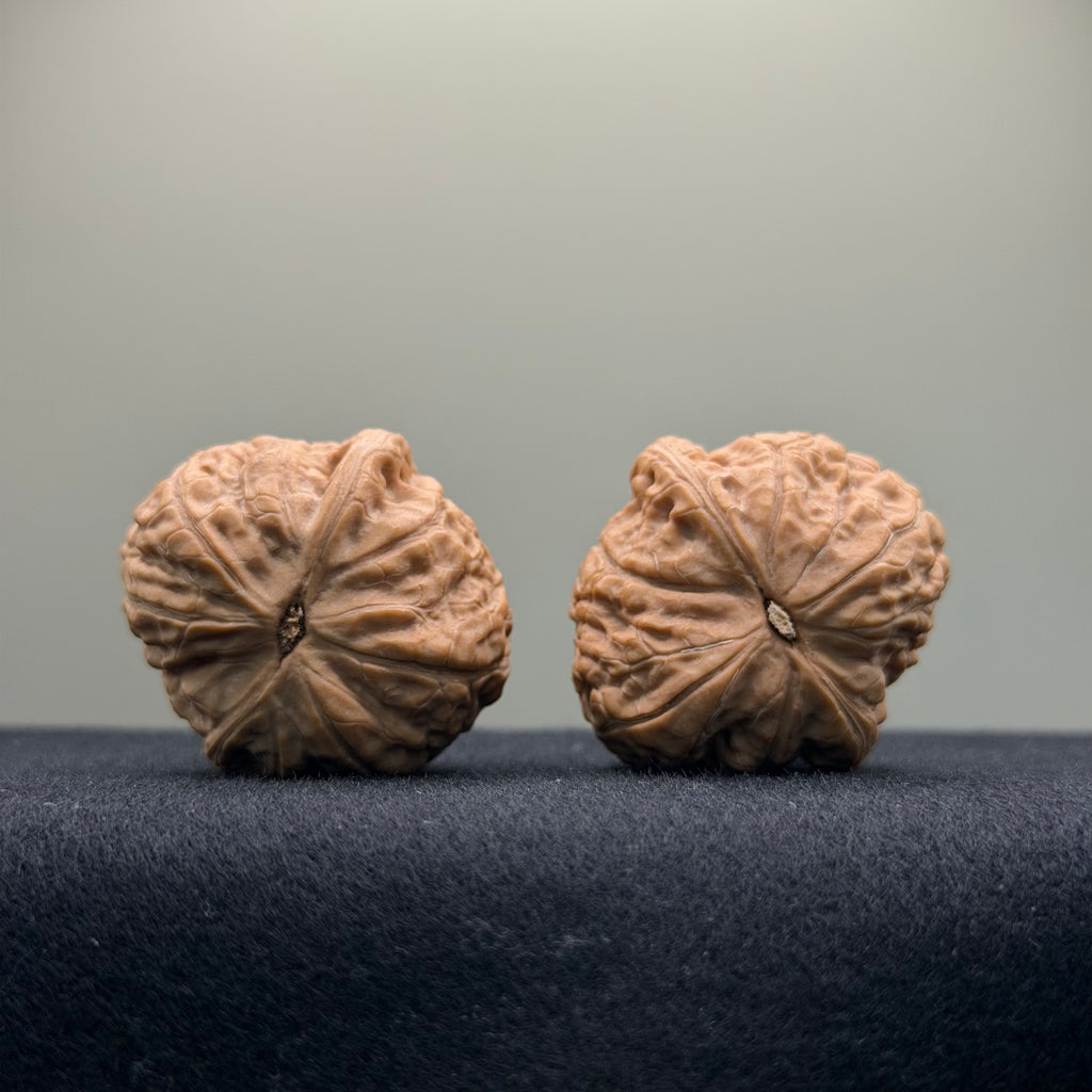 Qianlong Millstone Wenwan Walnut · 34mm · Natural · Select Ritual