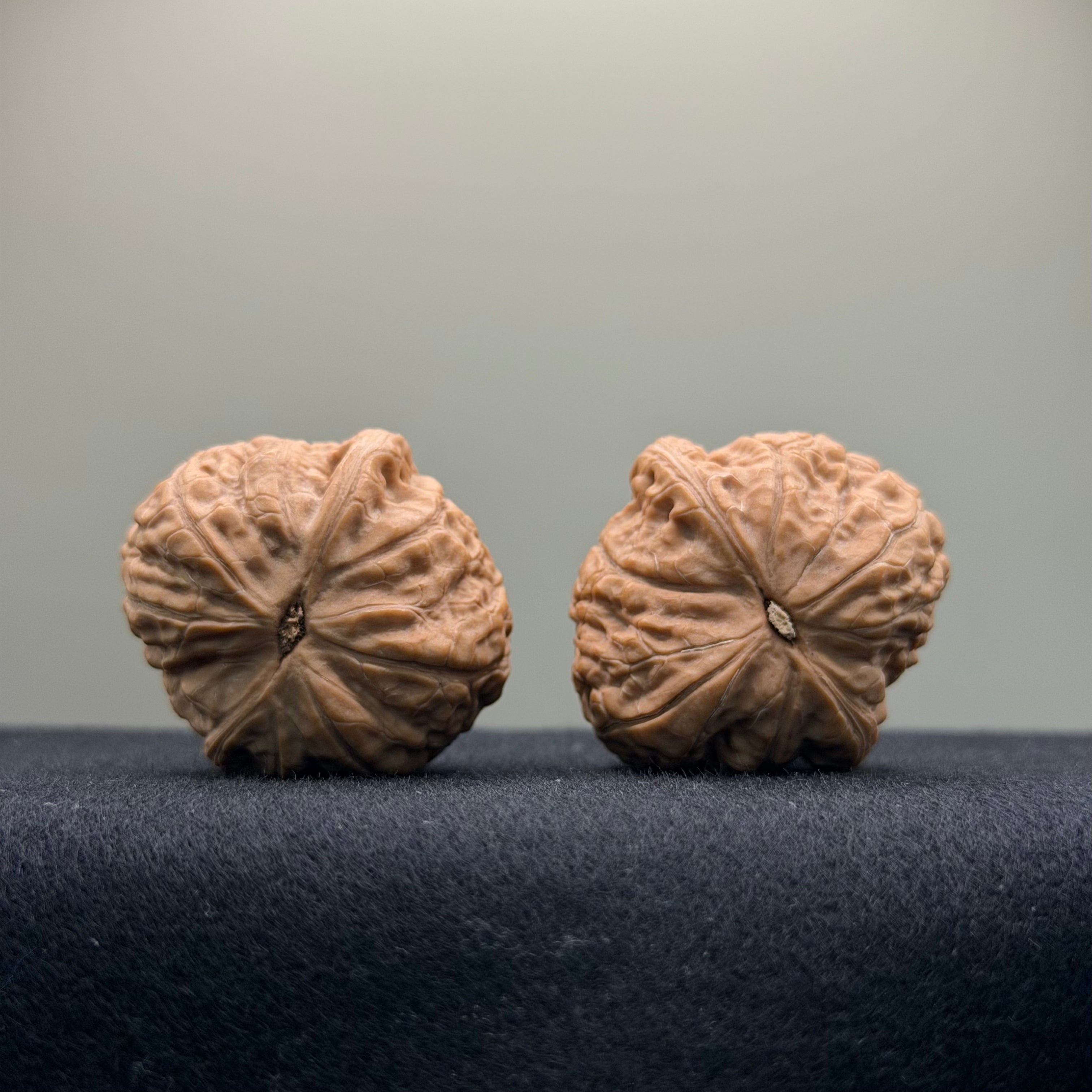 Qianlong Millstone Wenwan Walnut · 34mm · Natural · Select Ritual