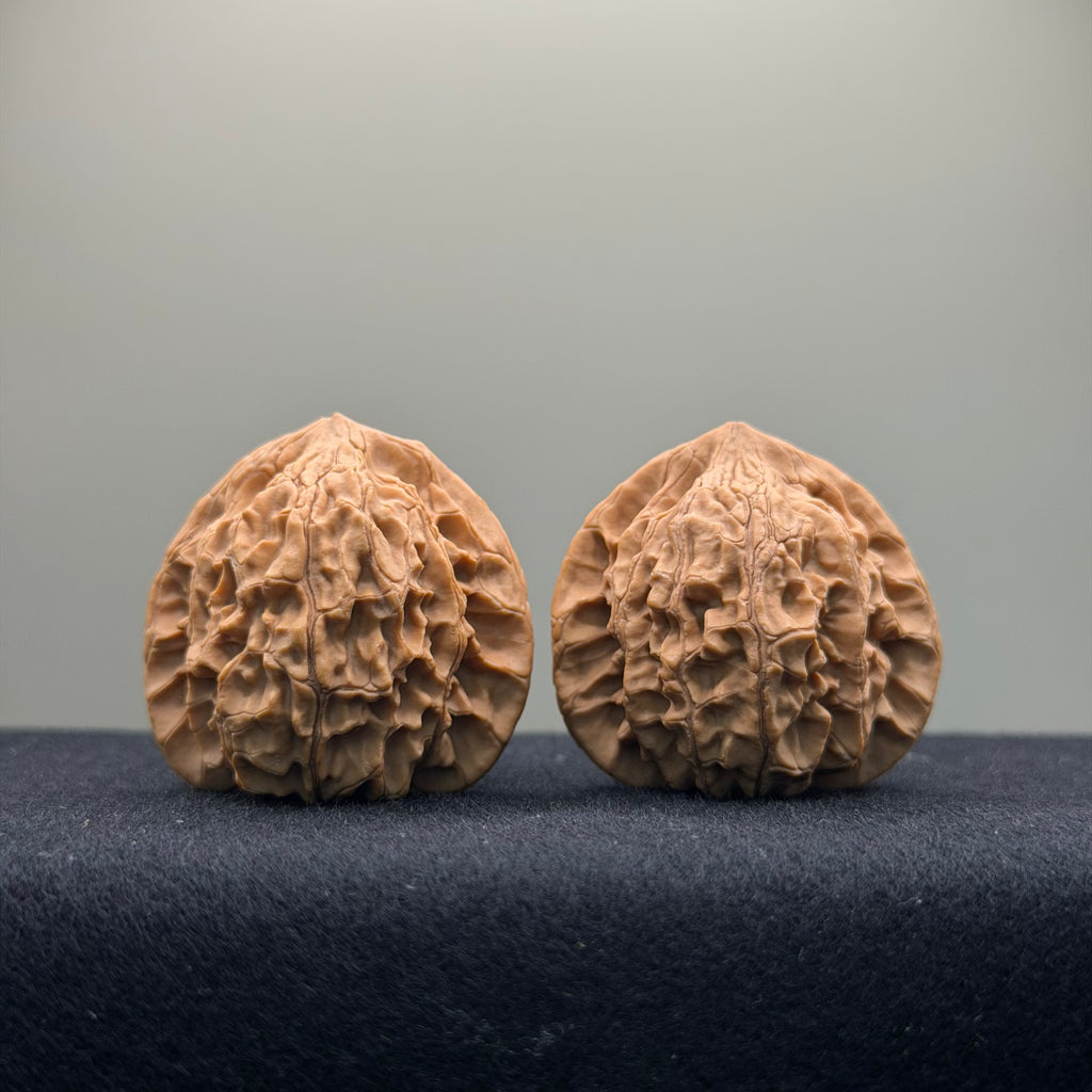 Xiayunling Wenwan Walnut · 37mm · Natural · Select Ritual