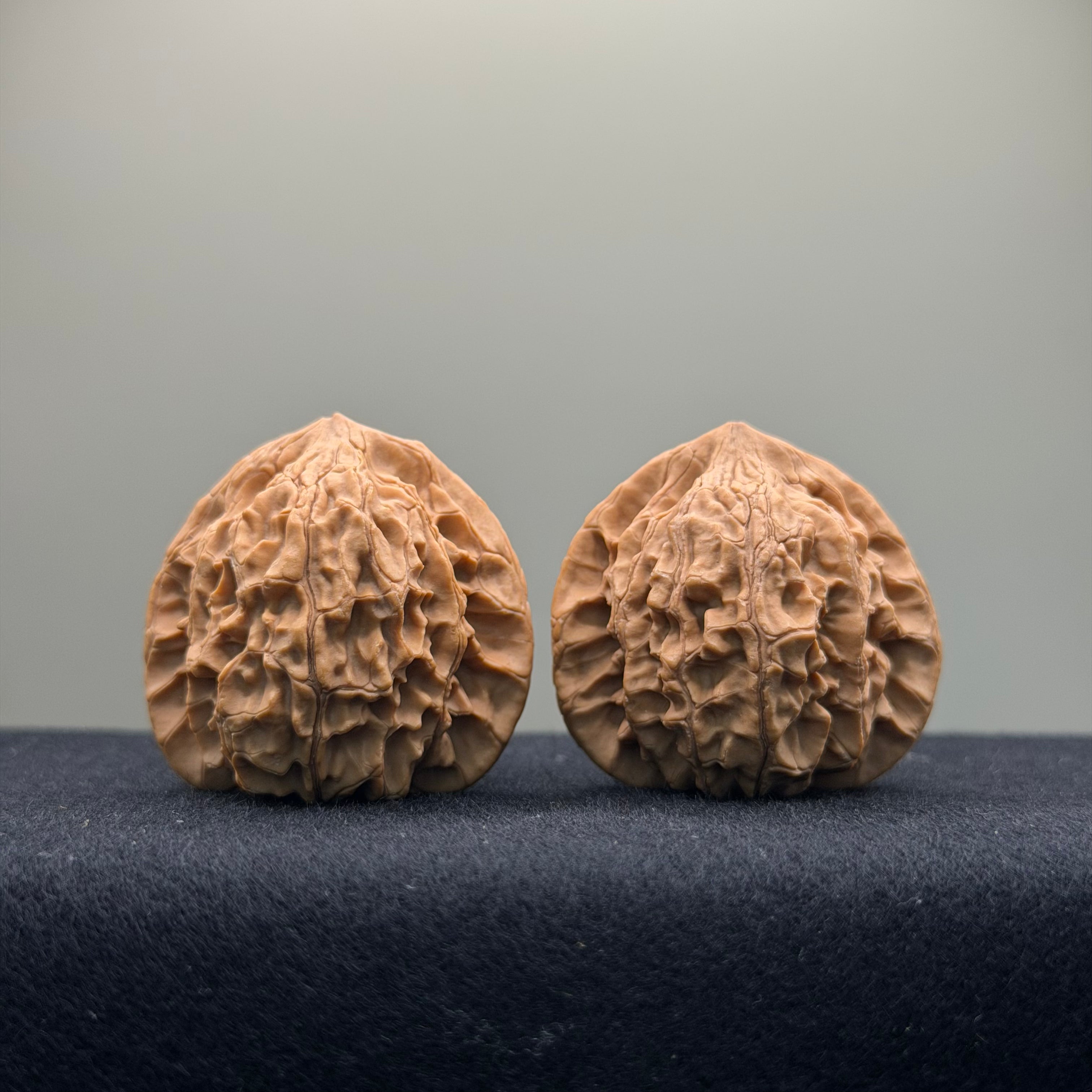 Xiayunling Wenwan Walnut · 37mm · Natural · Select Ritual