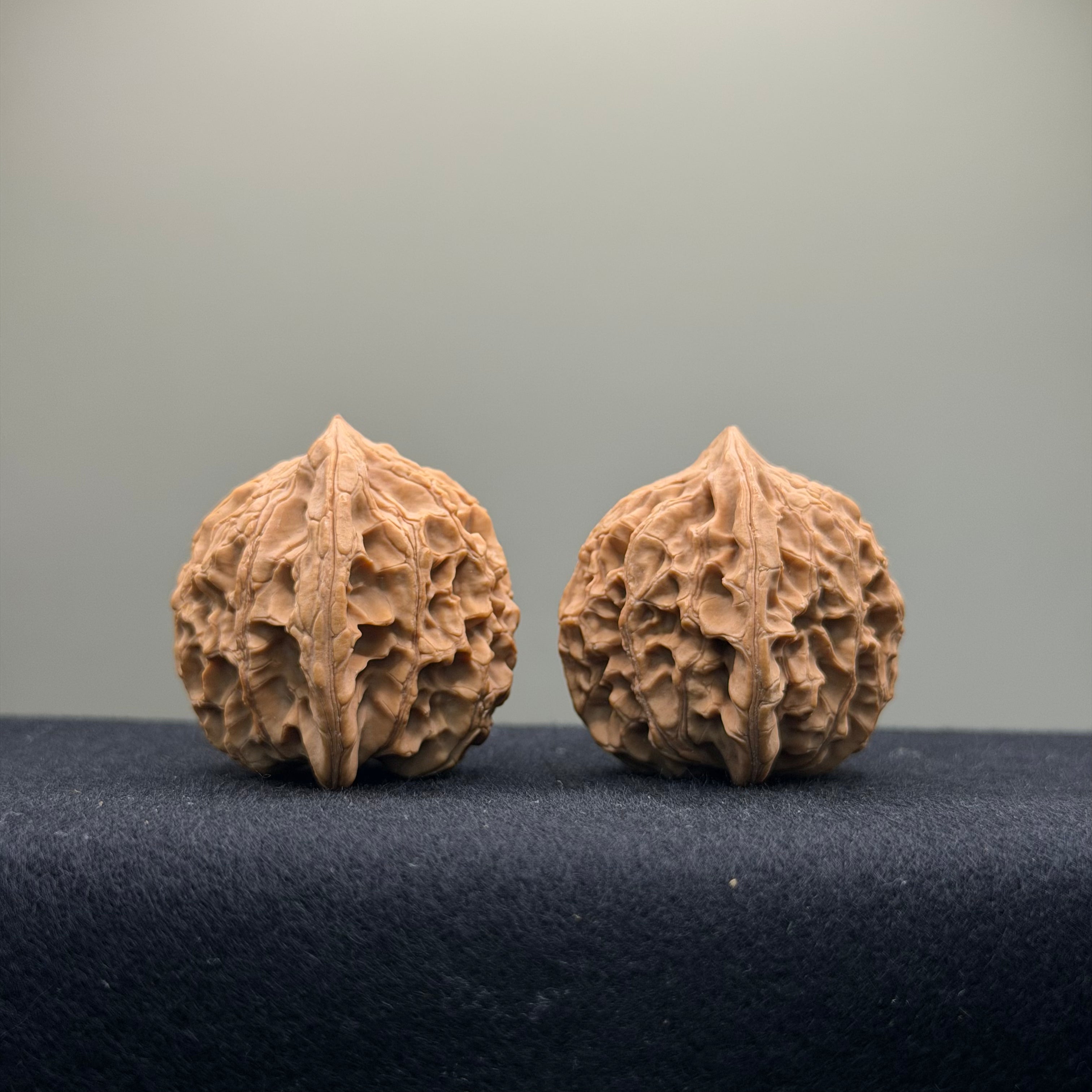 Xiayunling Wenwan Walnut · 37mm · Natural · Select Ritual