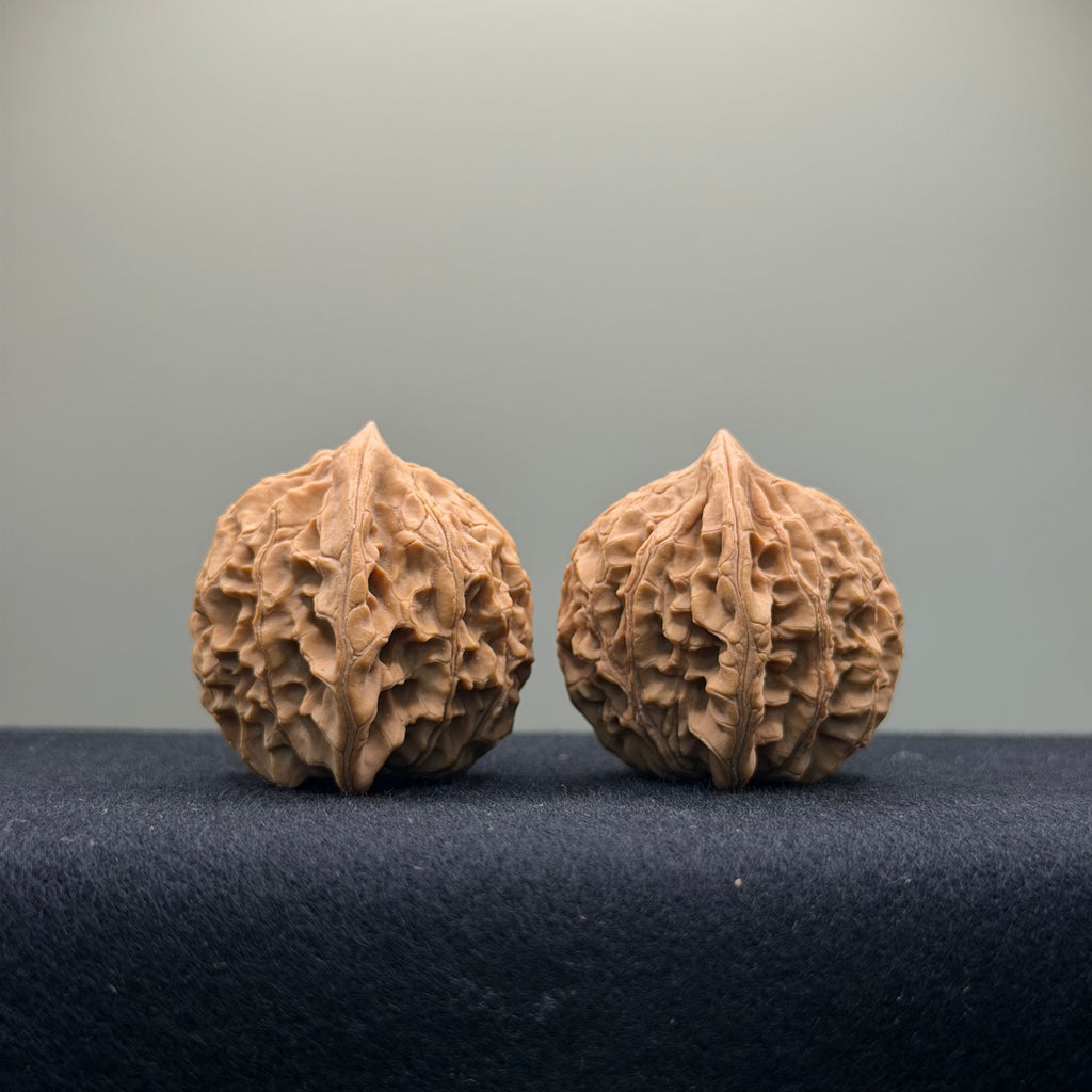 Xiayunling Wenwan Walnut · 37mm · Natural · Select Ritual