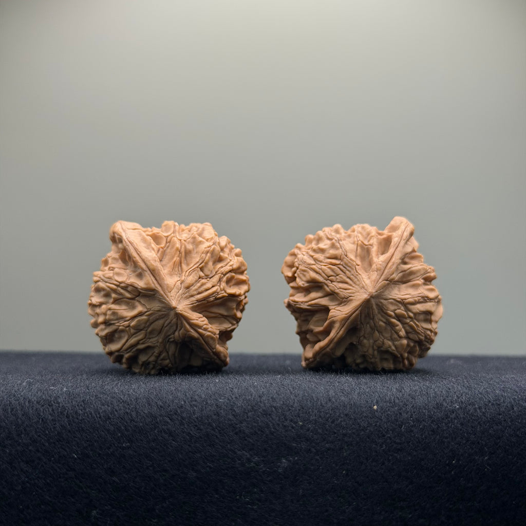 Xiayunling Wenwan Walnut · 37mm · Natural · Select Ritual