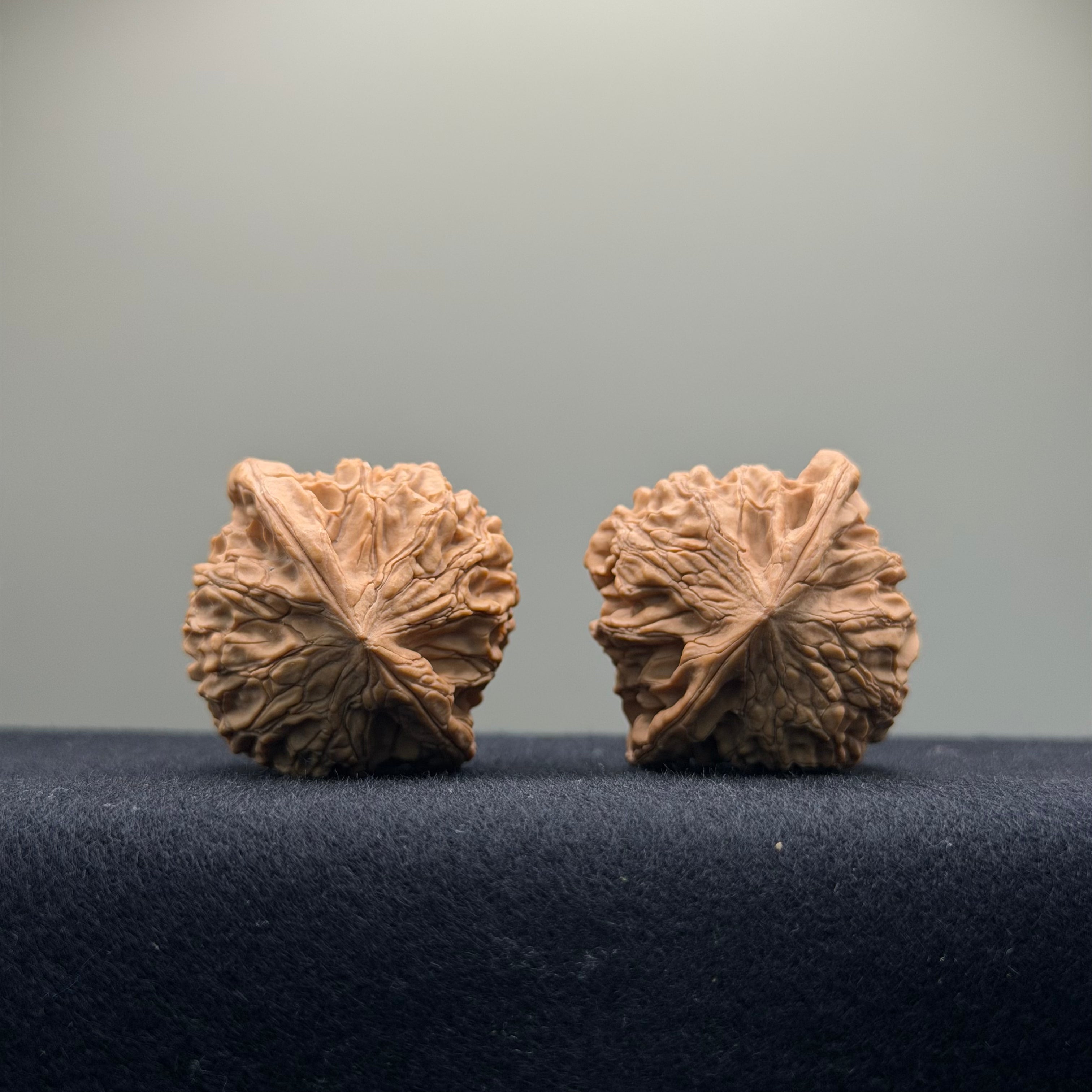 Xiayunling Wenwan Walnut · 37mm · Natural · Select Ritual