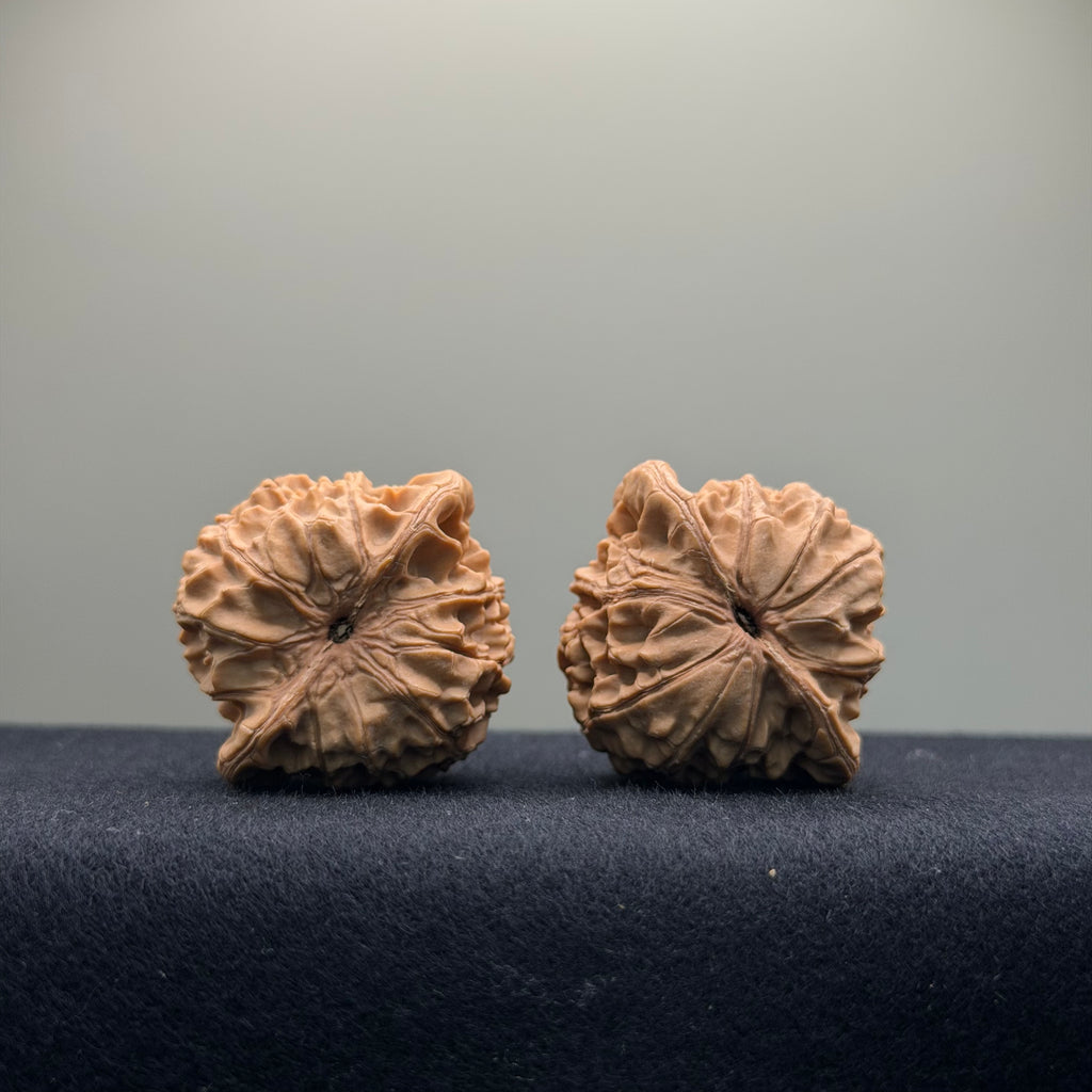 Xiayunling Wenwan Walnut · 37mm · Natural · Select Ritual