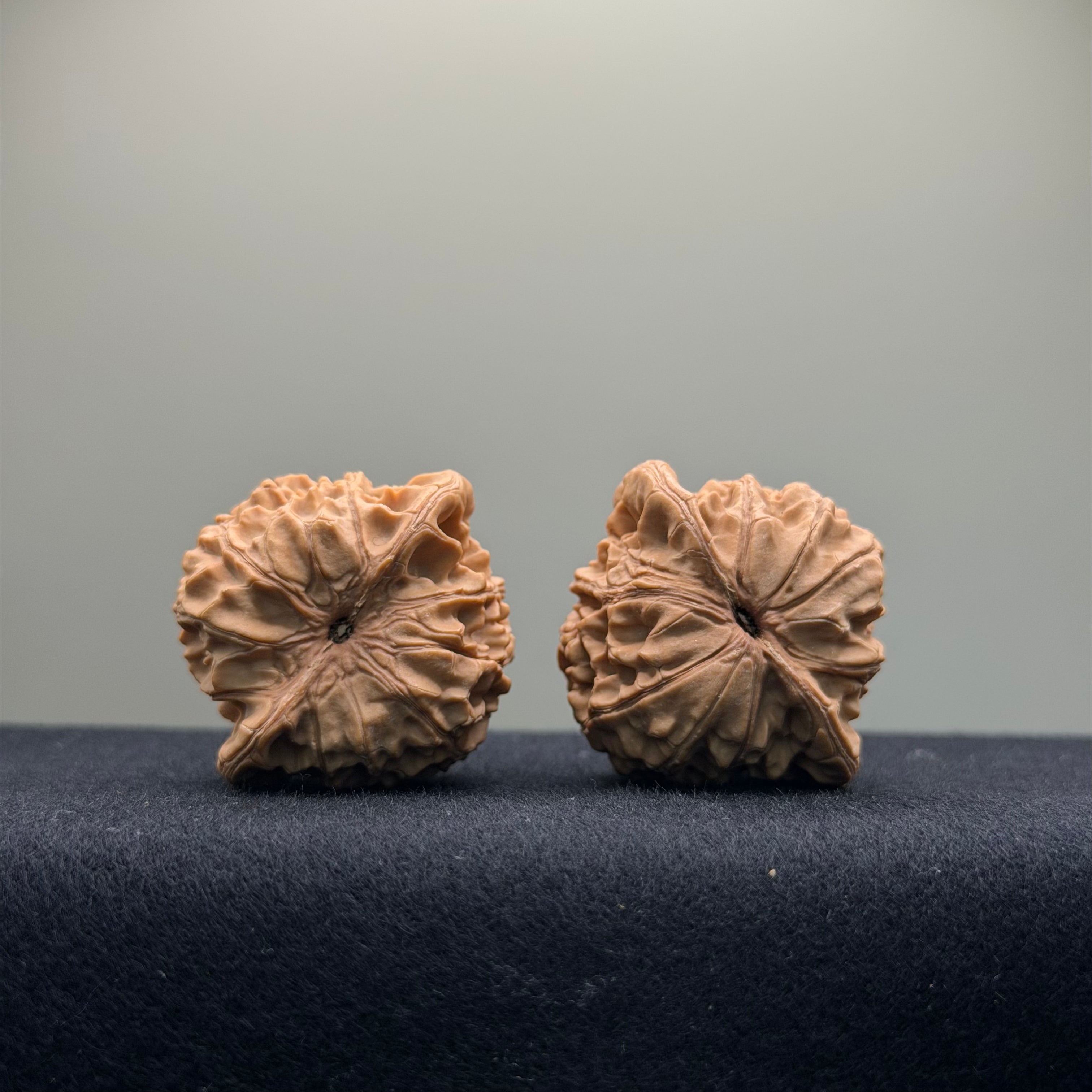 Xiayunling Wenwan Walnut · 37mm · Natural · Select Ritual