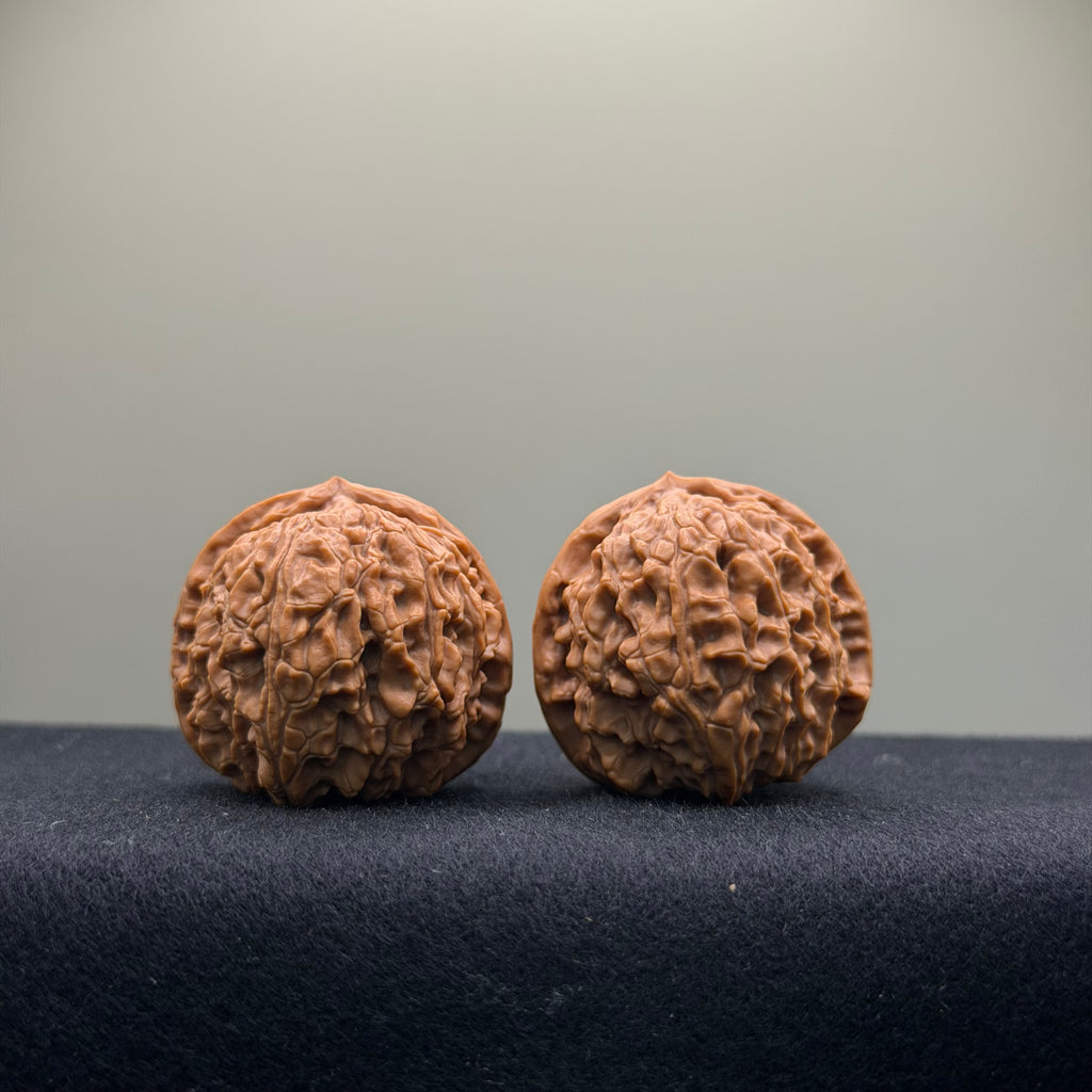 Emperor Qin Wenwan Walnut · 35mm · Select Ritual