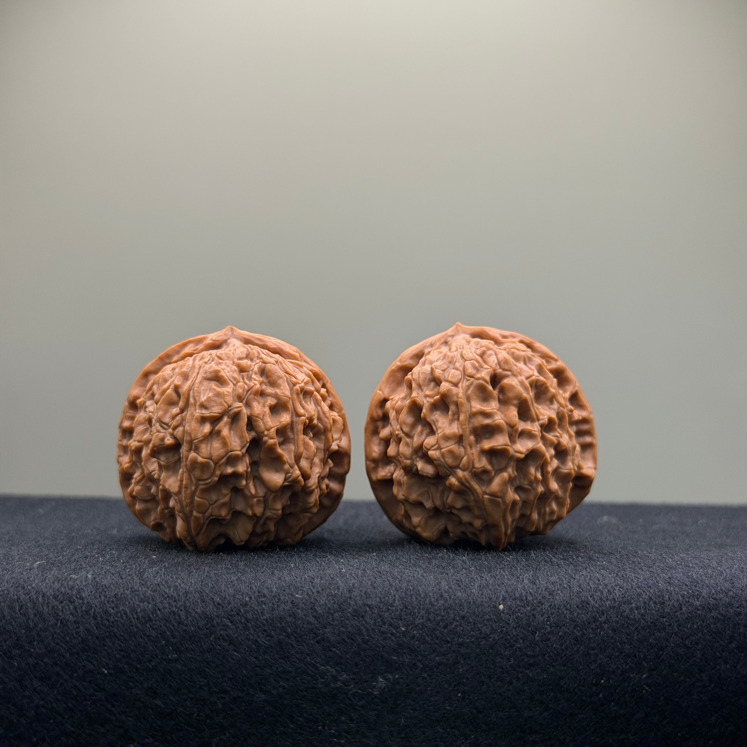 Emperor Qin Wenwan Walnut · 35mm · Select Ritual