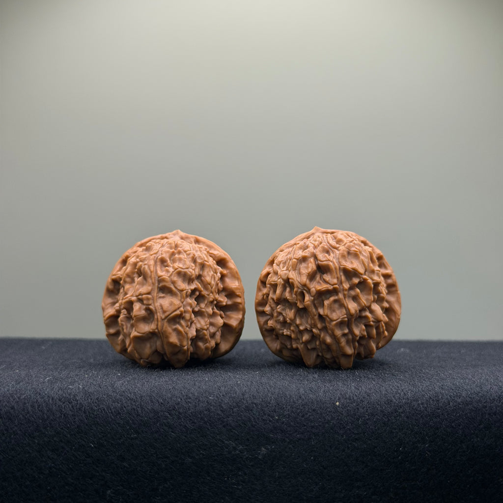 Emperor Qin Wenwan Walnut · 35mm · Select Ritual