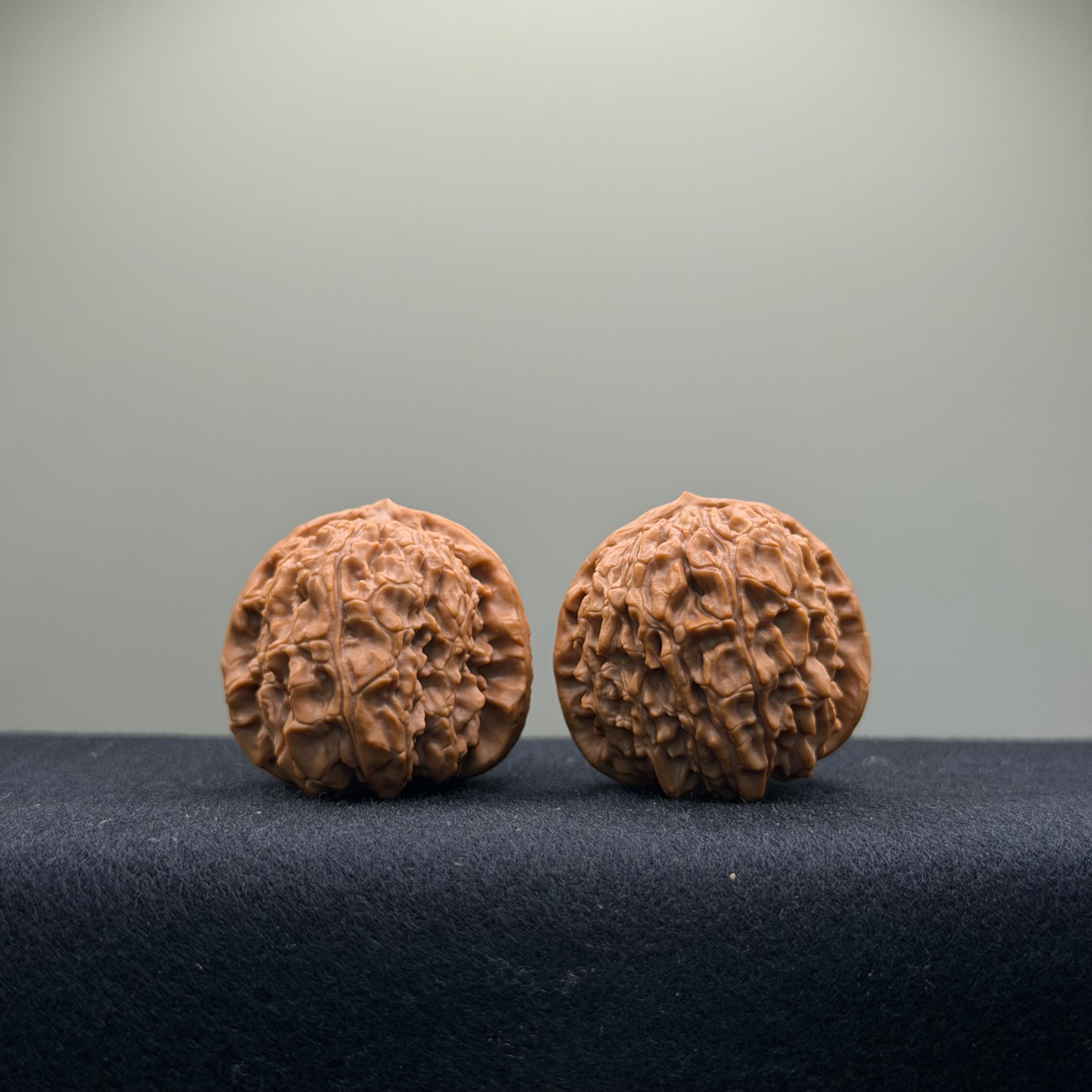 Emperor Qin Wenwan Walnut · 35mm · Select Ritual