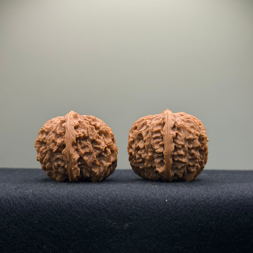Emperor Qin Wenwan Walnut · 35mm · Select Ritual